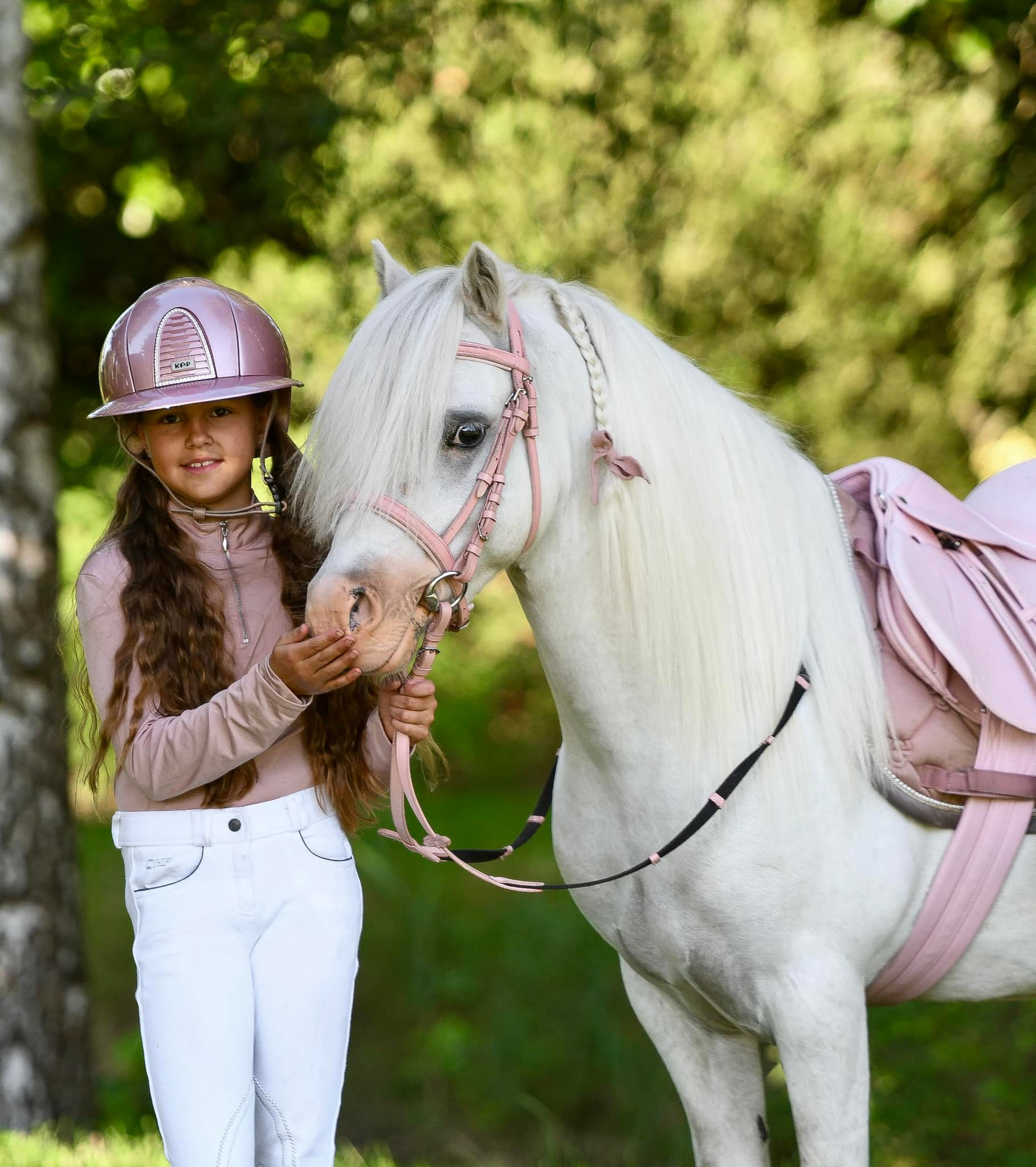 WELCOME SUPER SILVER 💕 OUR NEW JUMPING TALENT 🎀 Welsh section A