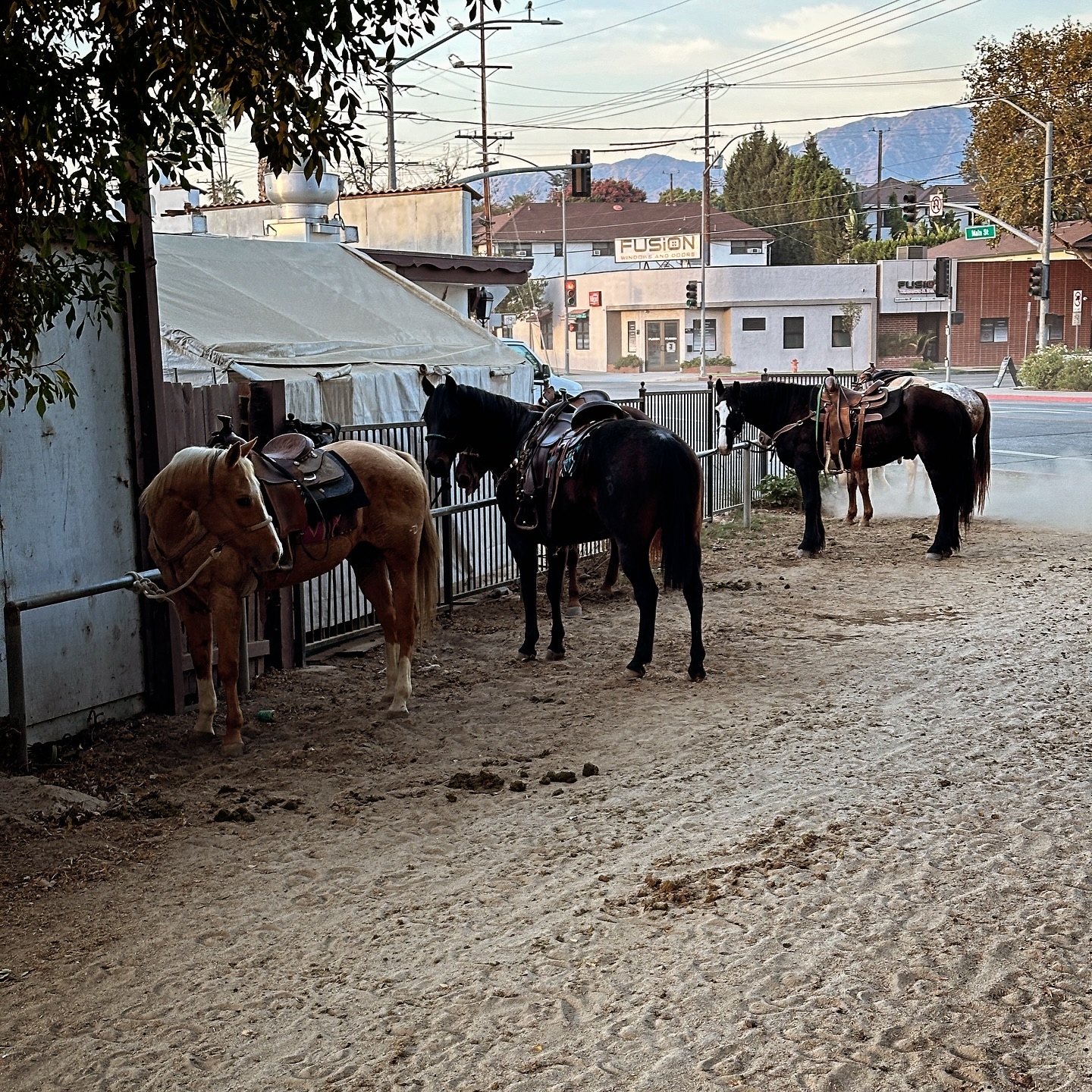 Triple R Boarding Stables | Glendale CA