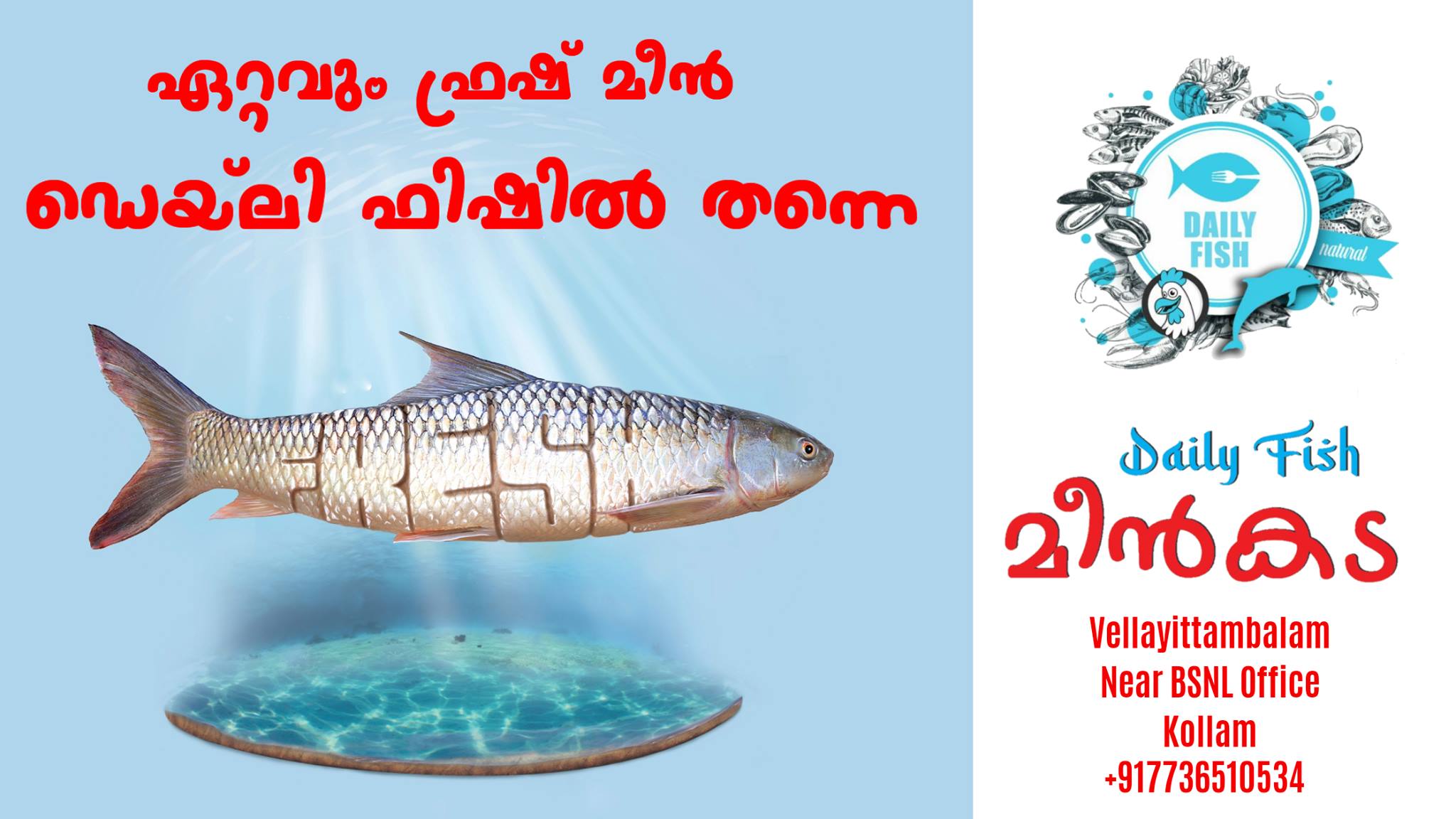 Daily Fish