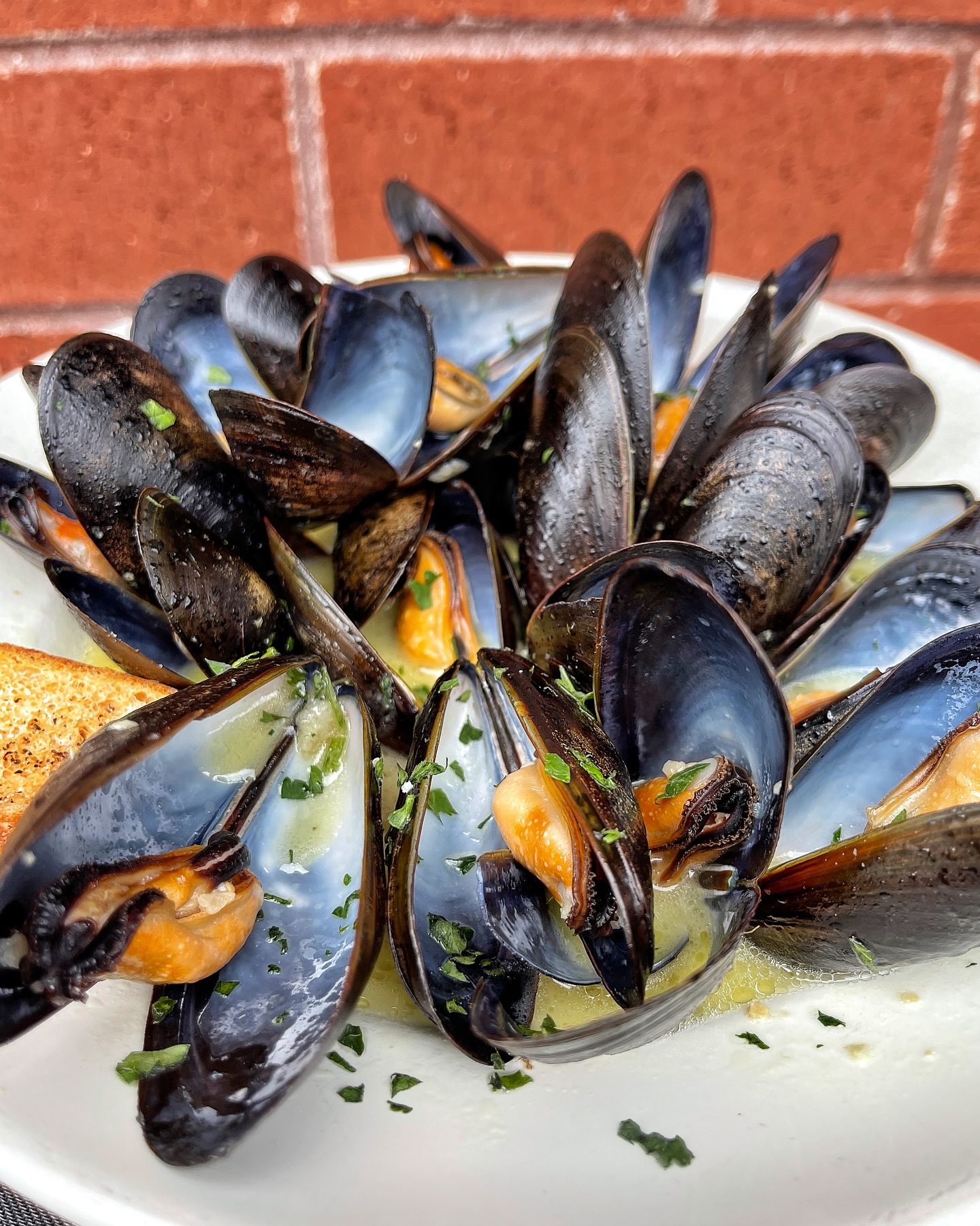 Locale Gastro Bar and Pizzette | Patchogue NY