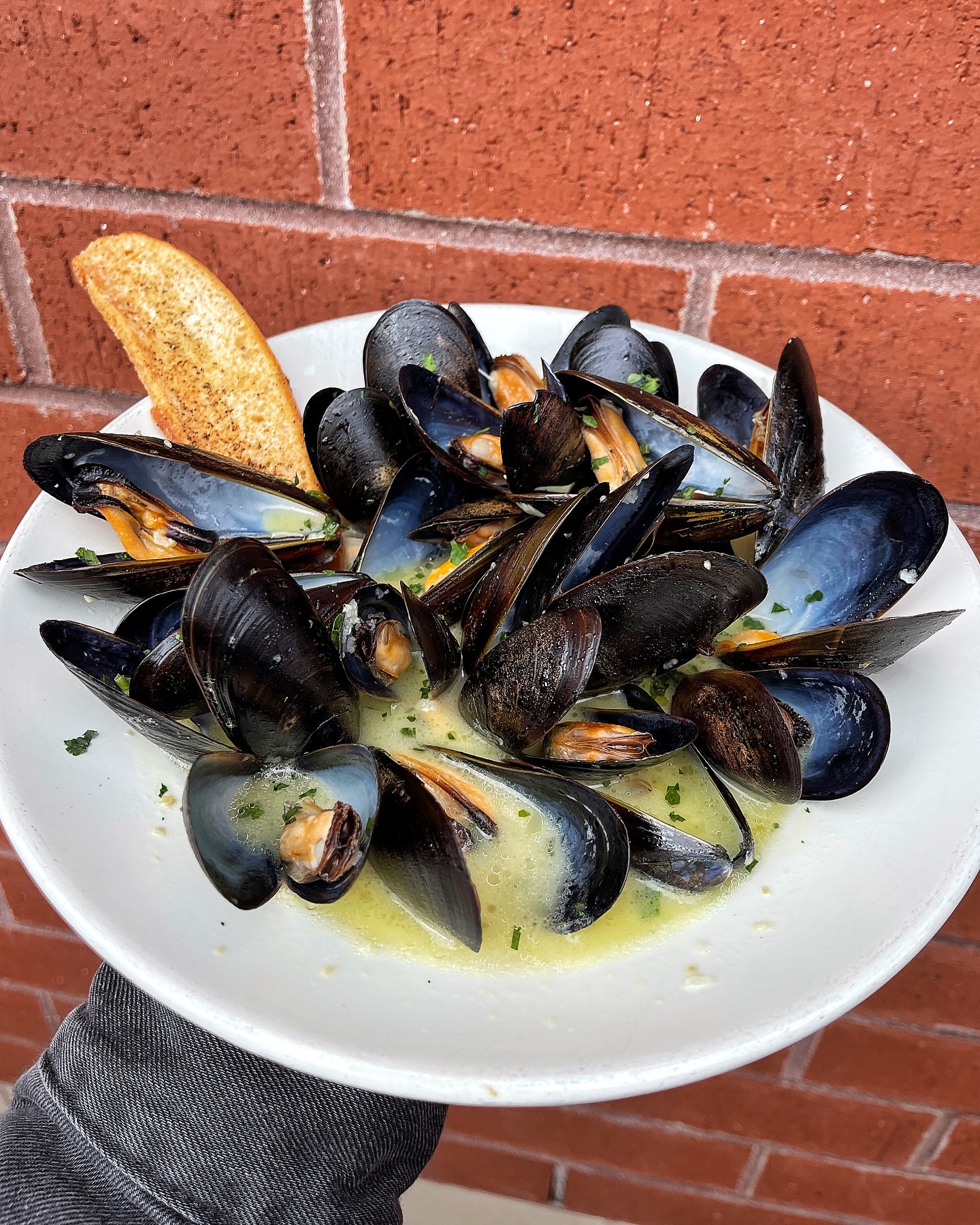 Locale Gastro Bar and Pizzette | Patchogue NY
