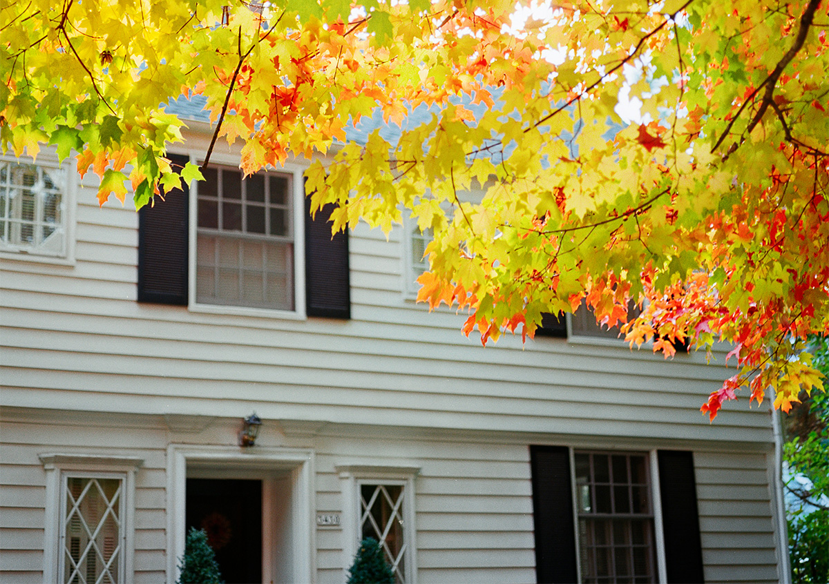 Bob Loft the Tree Trimmer | Thousand Oaks CA