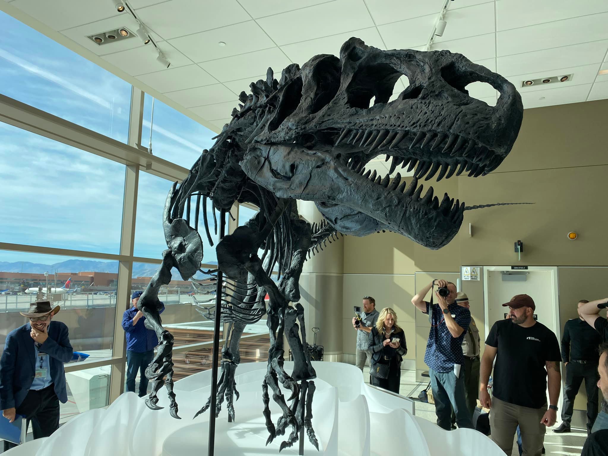 Ally the Allosaurus was... - Dinosaur National Monument | Facebook