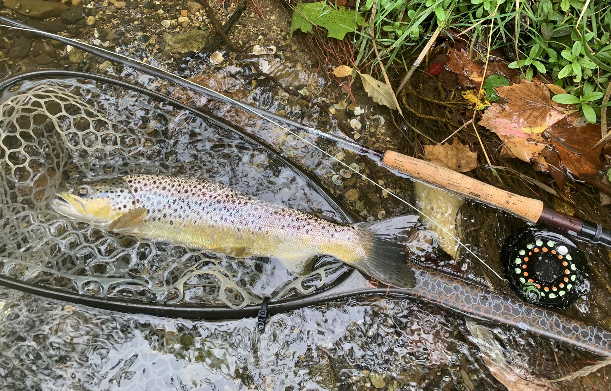 elkhorn ma fly reel Mt. Elbert Reels CNC Machined Fishing tips for Elkhorn Creek?