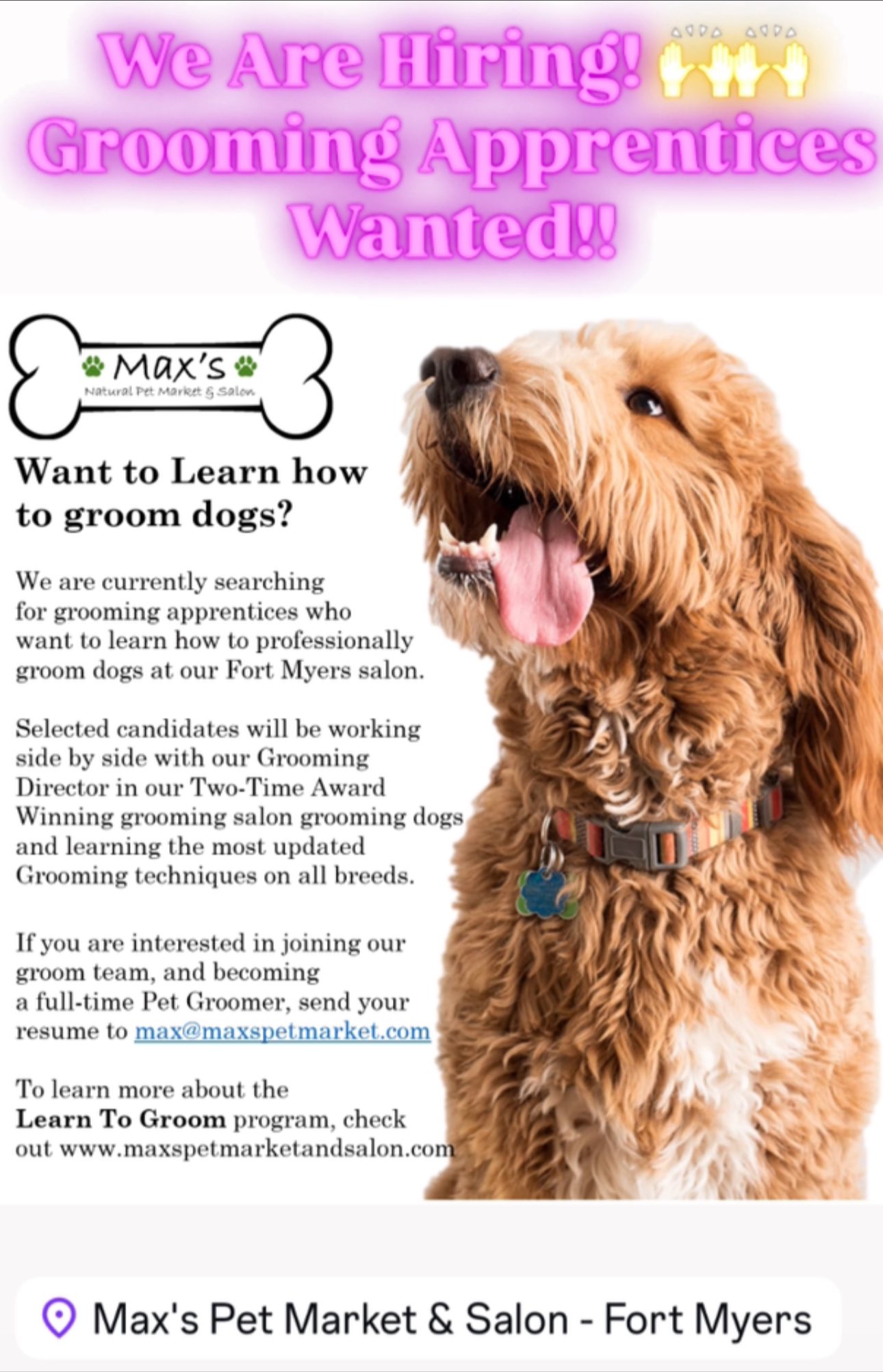 How Much Can a Dog Groomer Make: Maximize Earnings