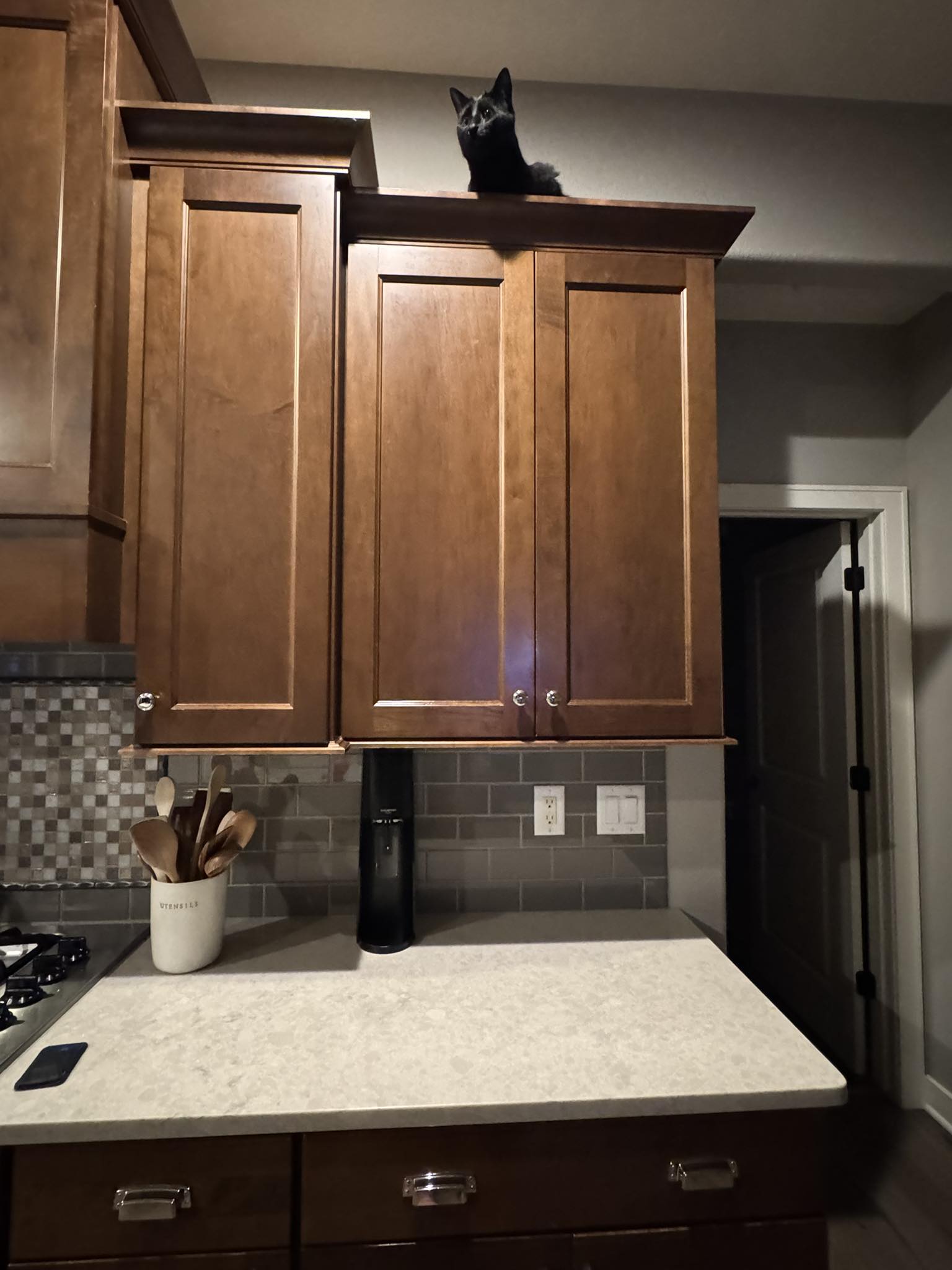 How Do You Keep Cats off Kitchen Counters: Expert Tips