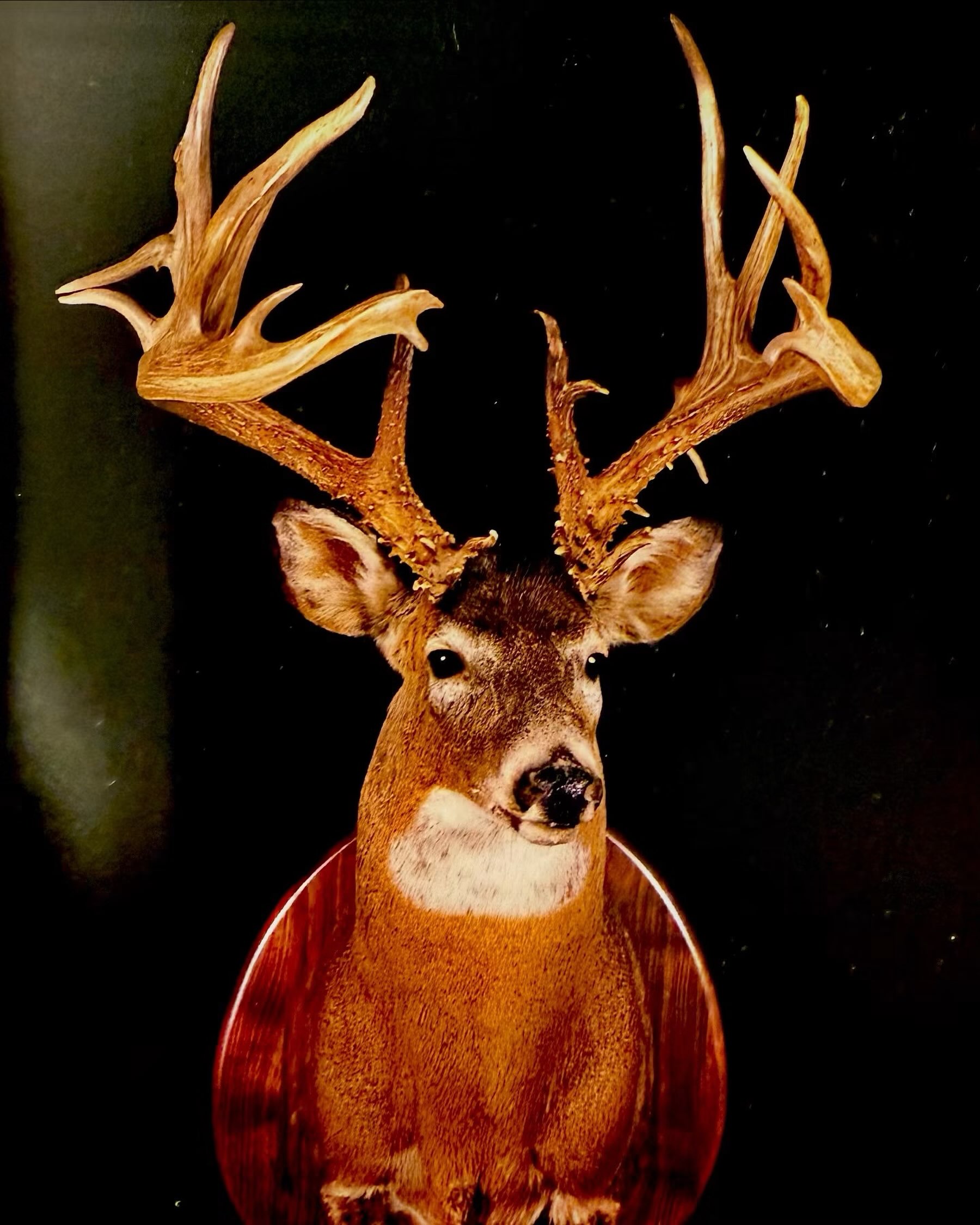 The David Manderscheid buck from Iowa 1977! 256-7/8