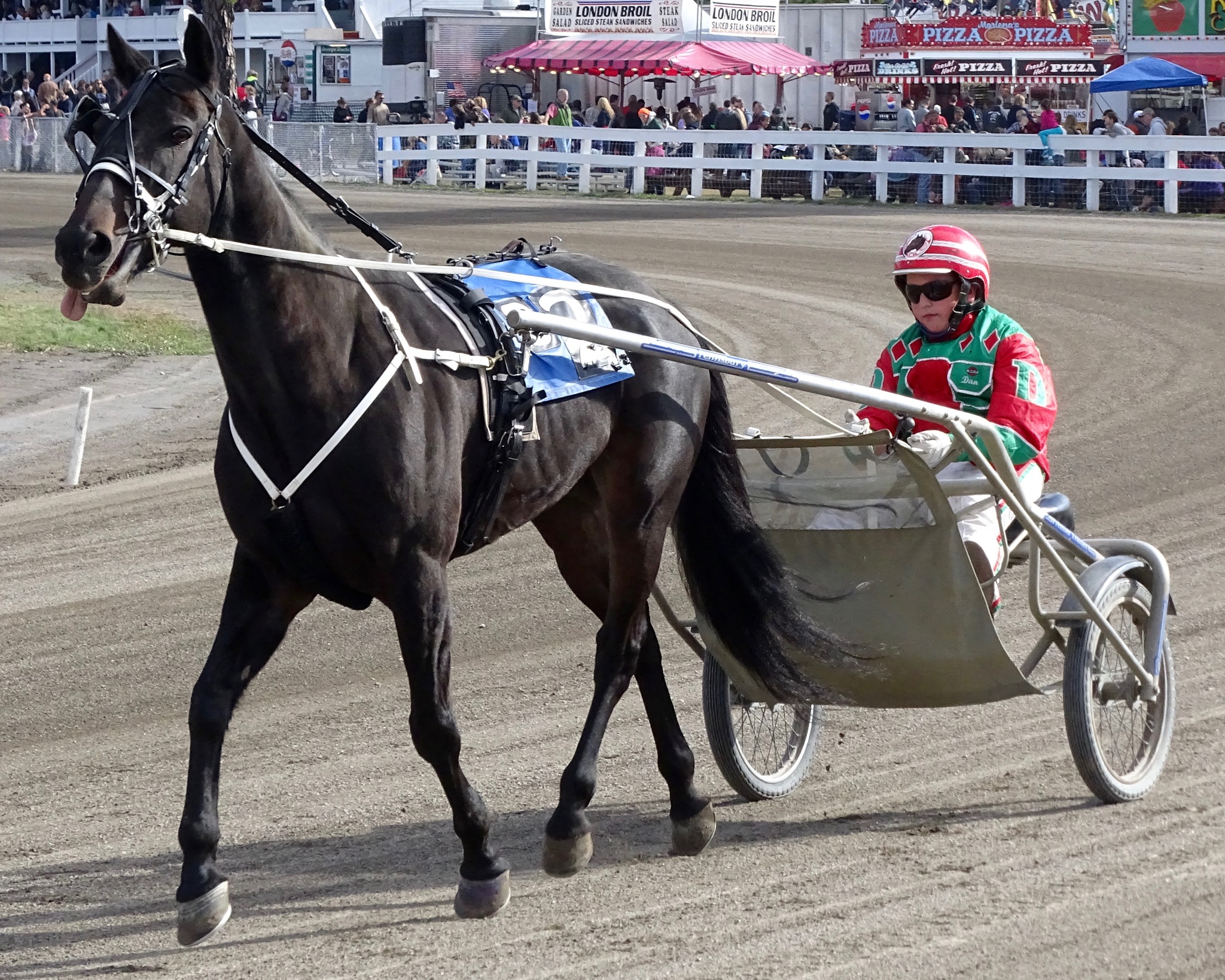 Now I know this is a Paint and not an App, but the breeder is
