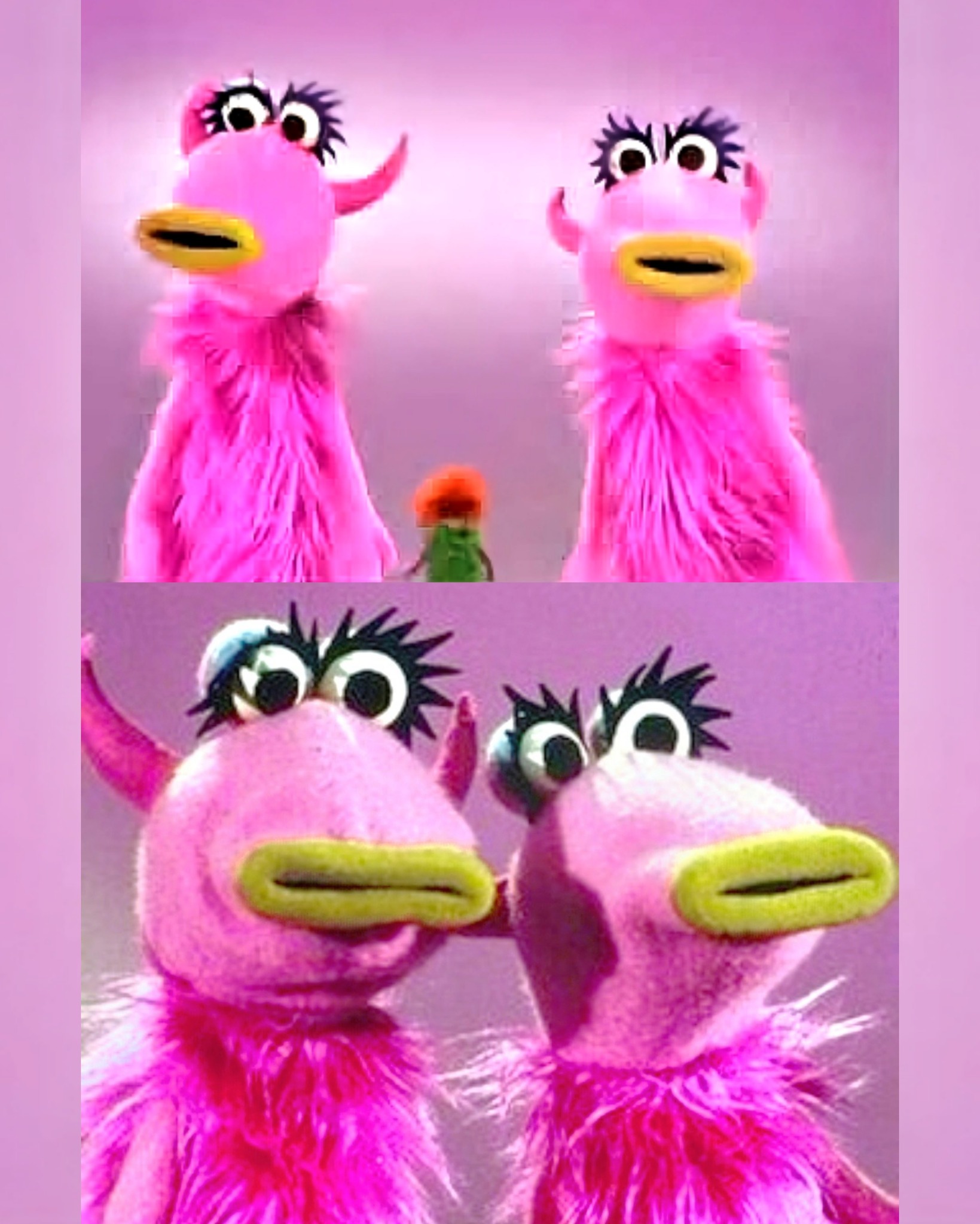 Karly - Today, I learned that this kind of muppet is called a 