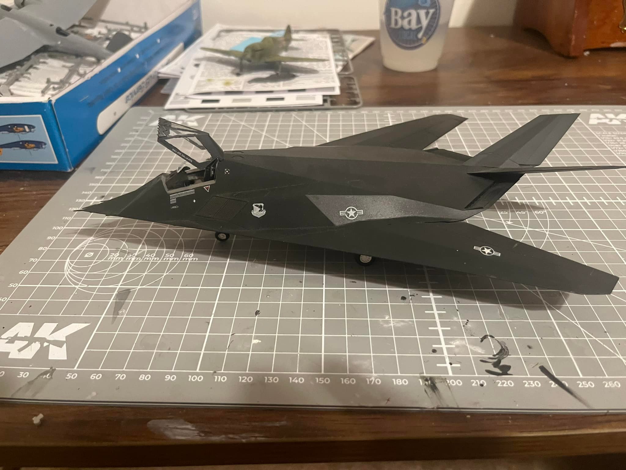 F-117A NIGHTHAWK 49th Fighter Wing Commander's Aircraft Holloman