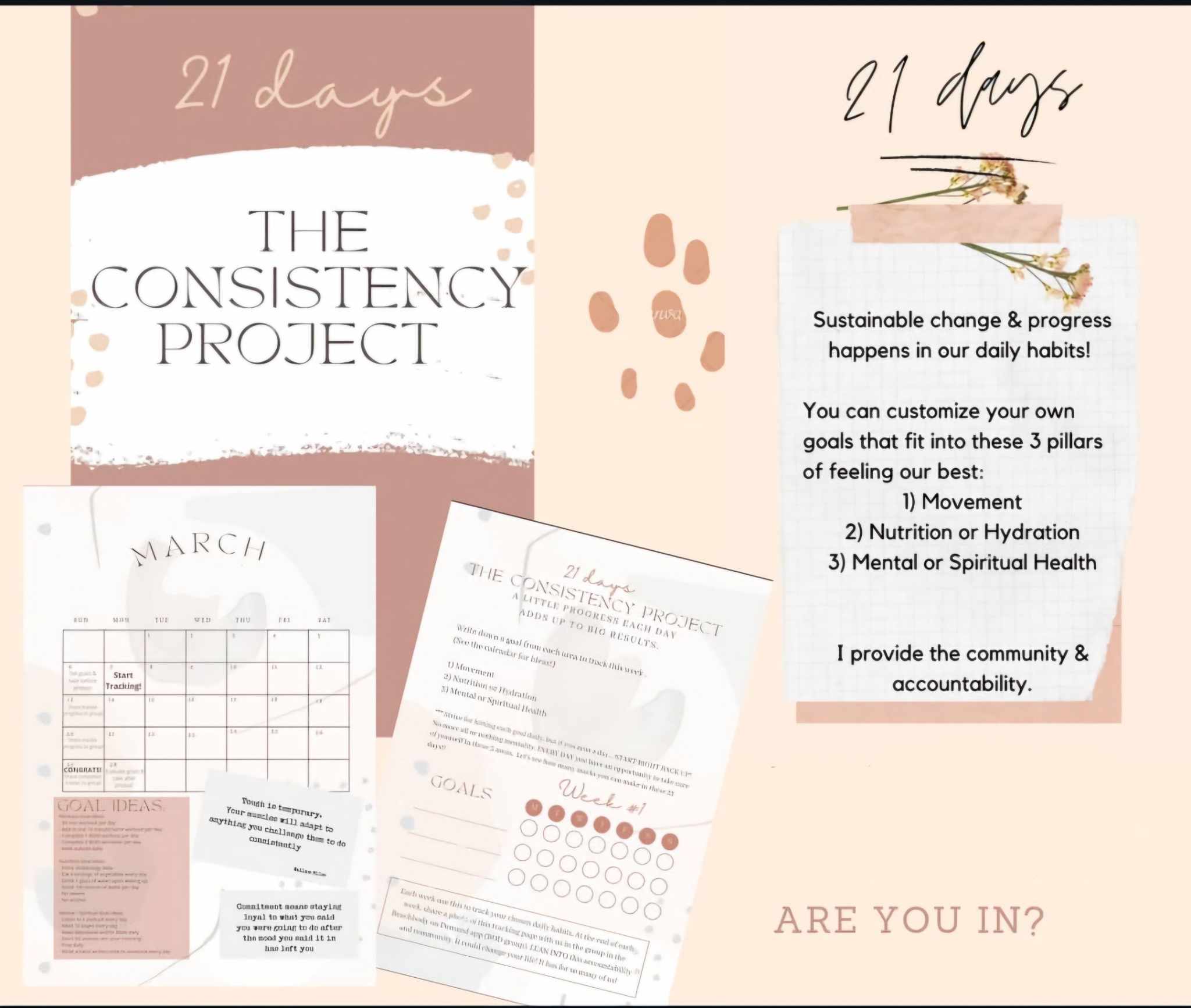 The 2025 Consistency Project! | Facebook