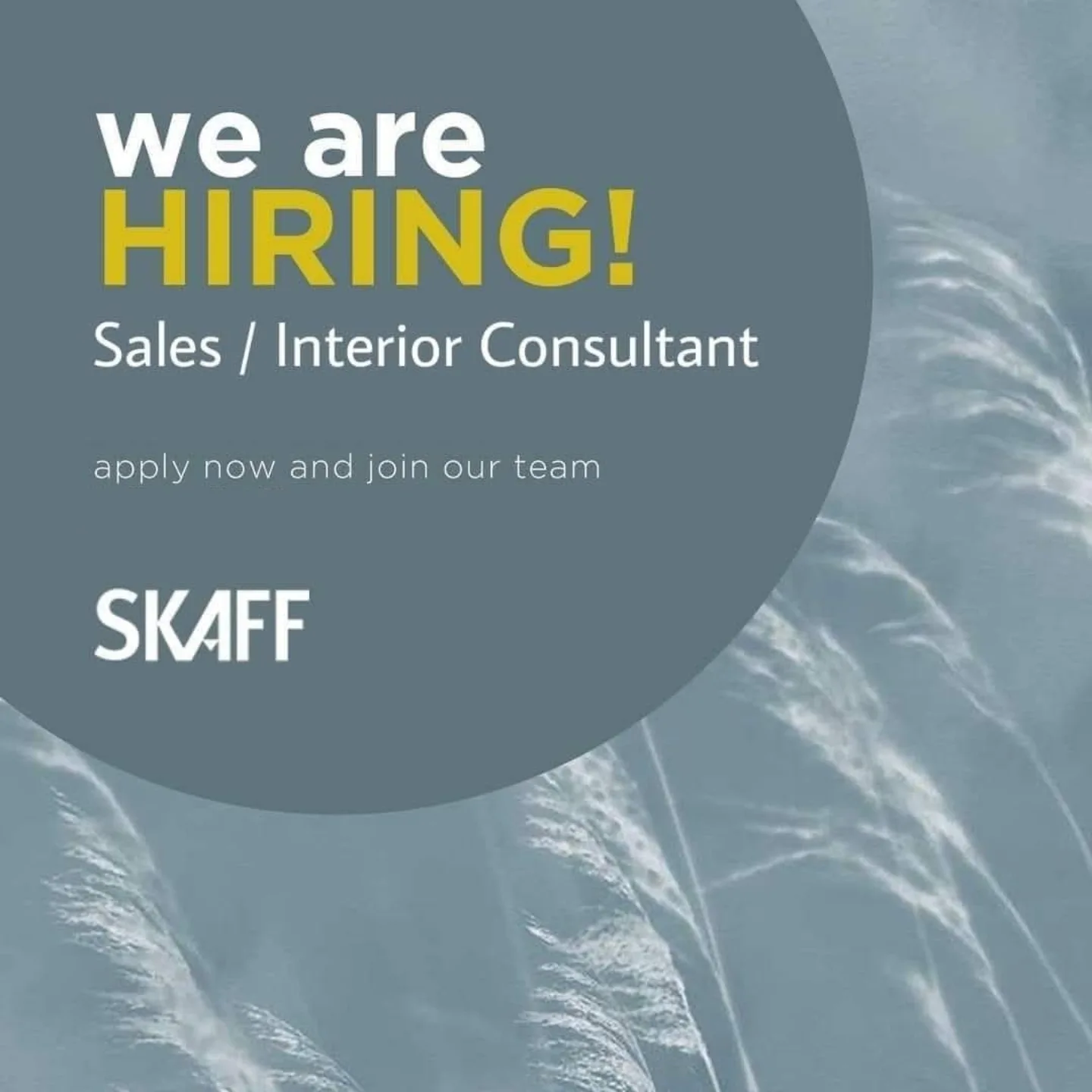 SKAFF - 𝙒𝙚'𝙧𝙚 𝙃𝙞𝙧𝙞𝙣𝙜! * 𝙅𝙤𝙗 𝙏𝙞𝙩𝙡𝙚: 𝙎𝙖𝙡𝙚𝙨 𝘾𝙤𝙣𝙨𝙪𝙡𝙩𝙖𝙣𝙩𝙨 𝙤𝙧 𝙖𝙣𝙙 𝙄𝙣𝙩𝙚𝙧𝙞𝙤𝙧 ...