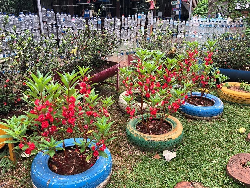 Warna-warni bunga di recycling... - Sekolah Alam Cikeas