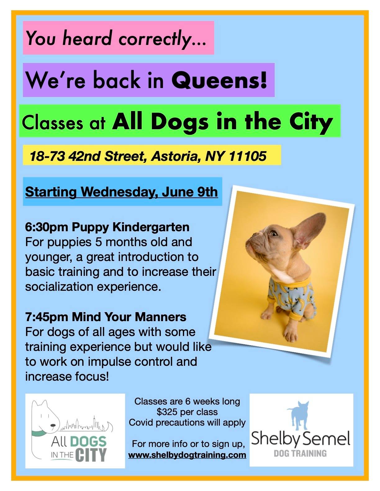 Astoria Dog Owners Group ( ADOG ) | Hi Everyone! I am teaching some ...
