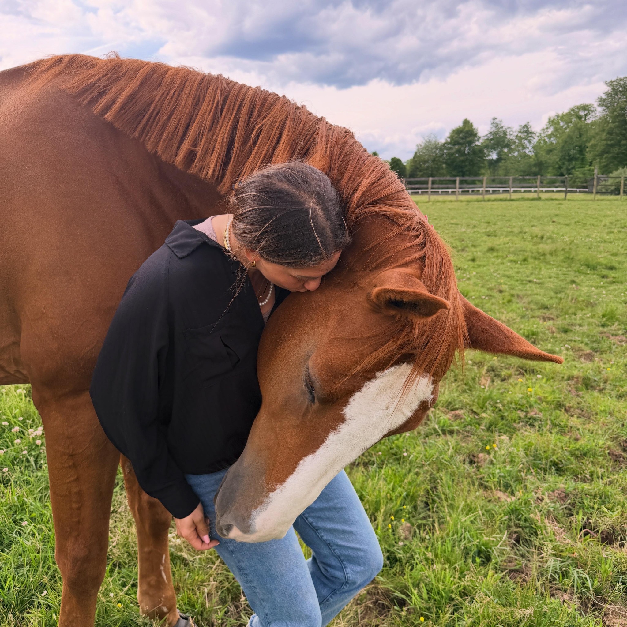 Millbrook NY Community | The Silo Ridge Masters 🐎 (Oct | Facebook