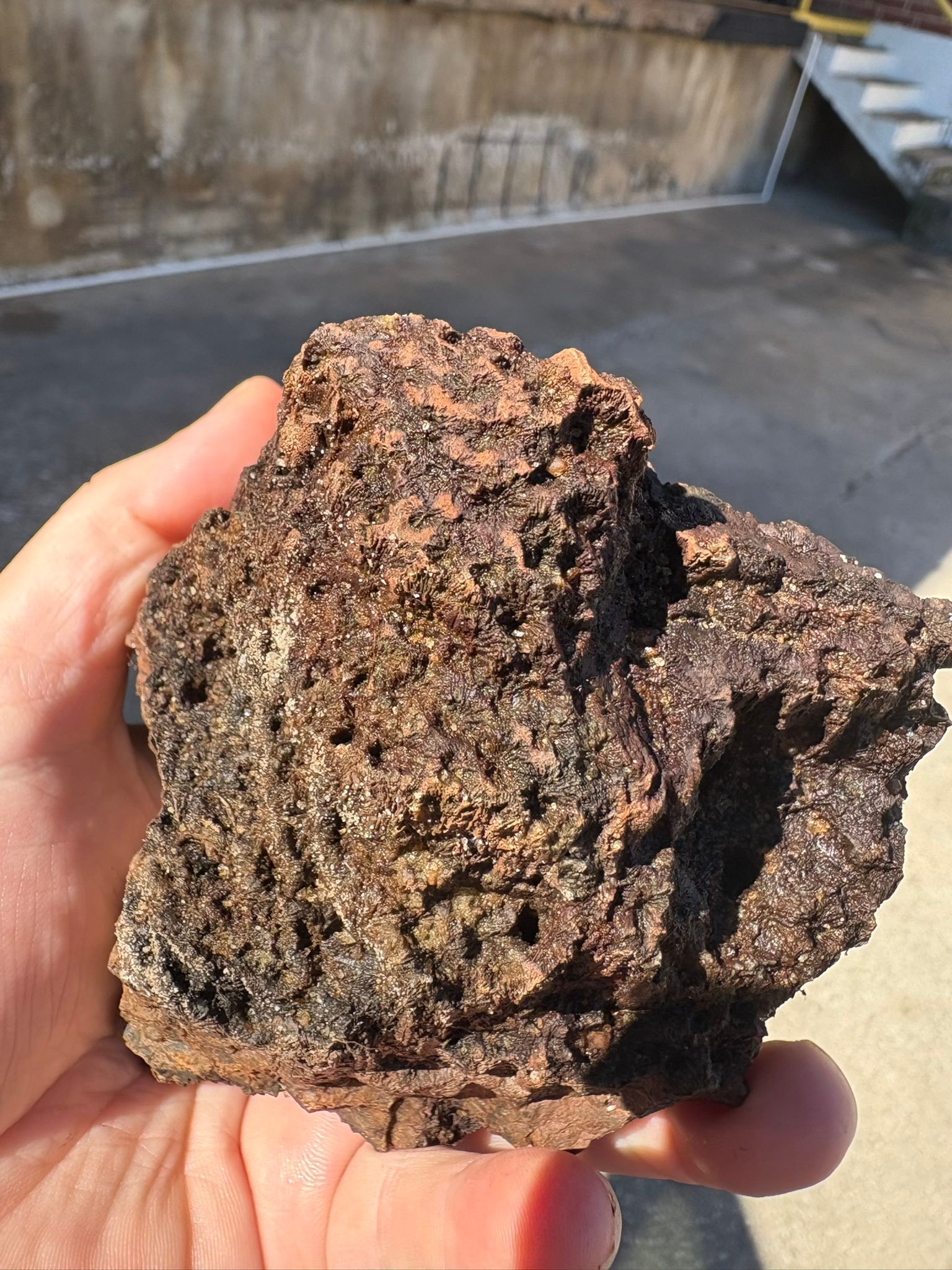 Is this fossilized coral from the Withlacoochee River?