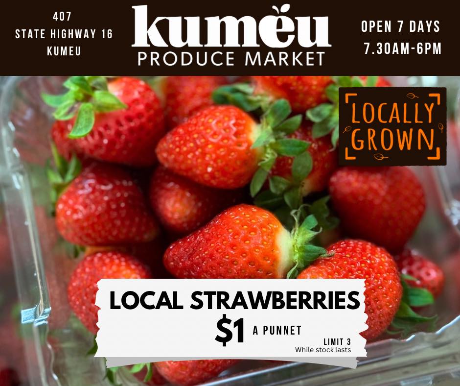 Kumeu - 🍓 Fresh, Local Strawberries - Only $1 a Punnet! 🍓 Grab the ...
