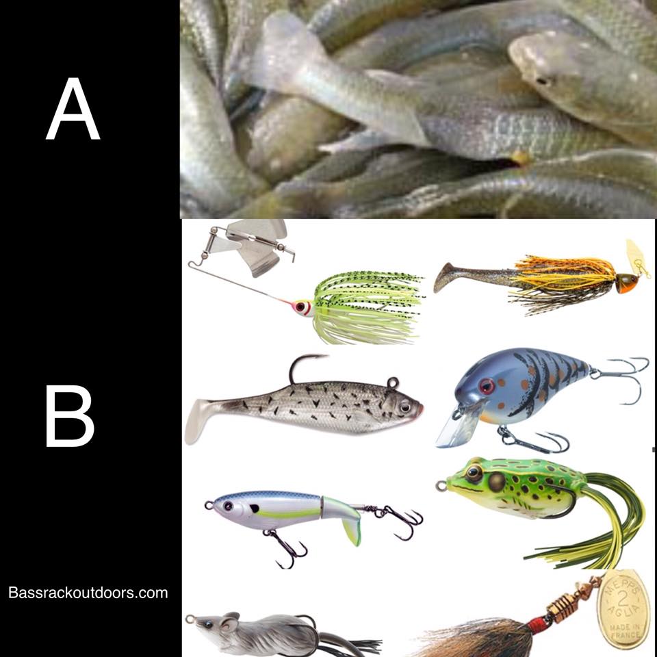 best fishing lures for snakehead Topwater Pencil Lure The Best Snakehead Lures: What
