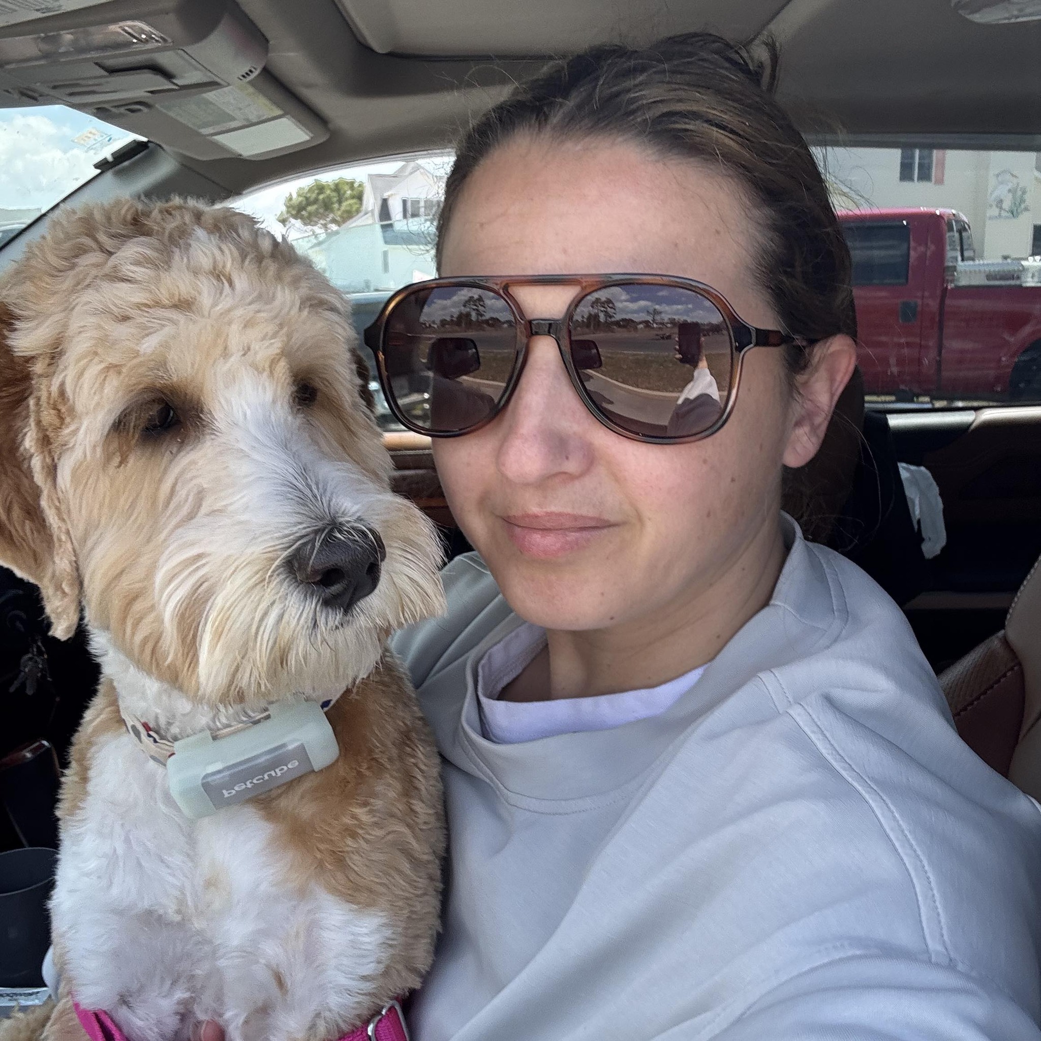Scary moments can build confident puppies. 🐶 Amber’s first trip through ...