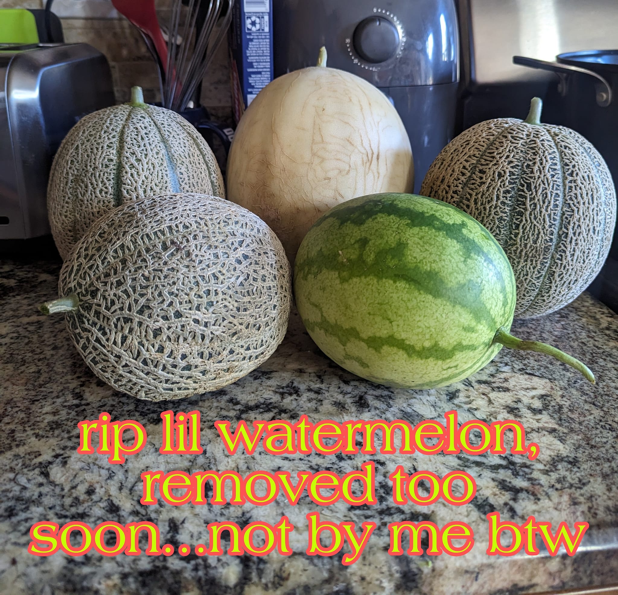 I'll show you my melons if you show me yours! 🍉🍉🍉❤️❤️❤️🤣🤣🤣