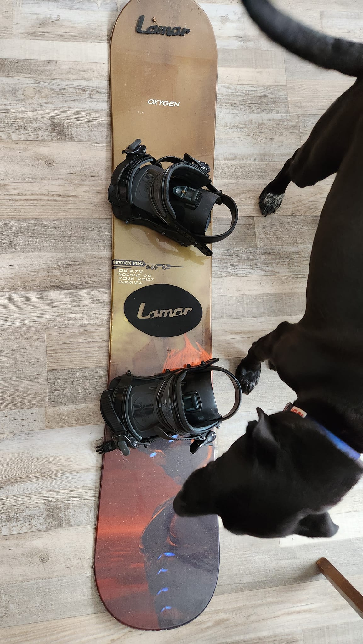 What year is this old Oxygen snowboard?
