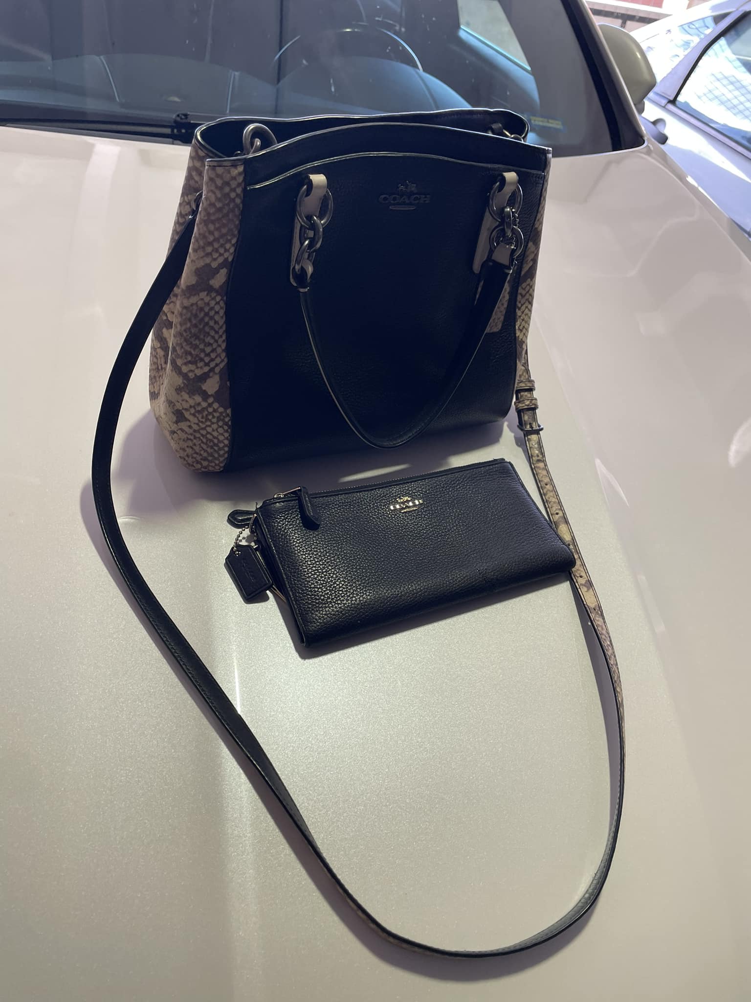 Who has a Coach Hutton bag with snakeskin details?