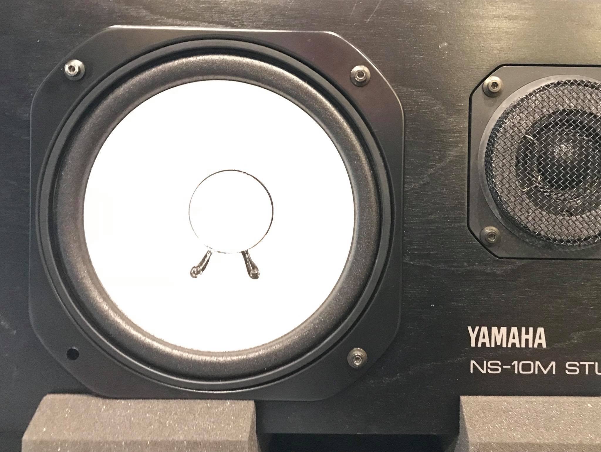 Do we have any NS10s experts here? The seller claims that this is
