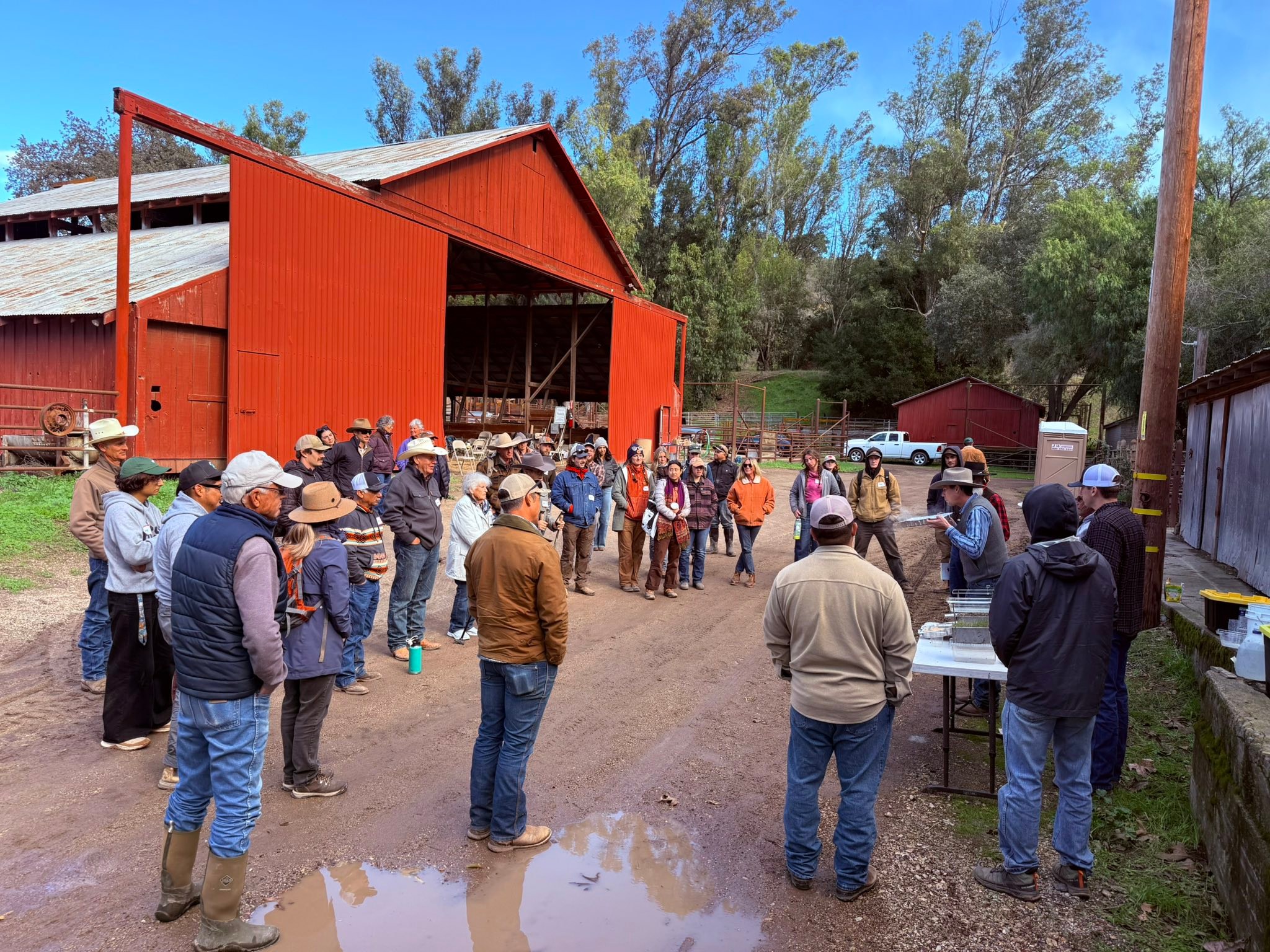 Santa Barbara County CattleWomen - Setting up for our #cattle #sorting ...