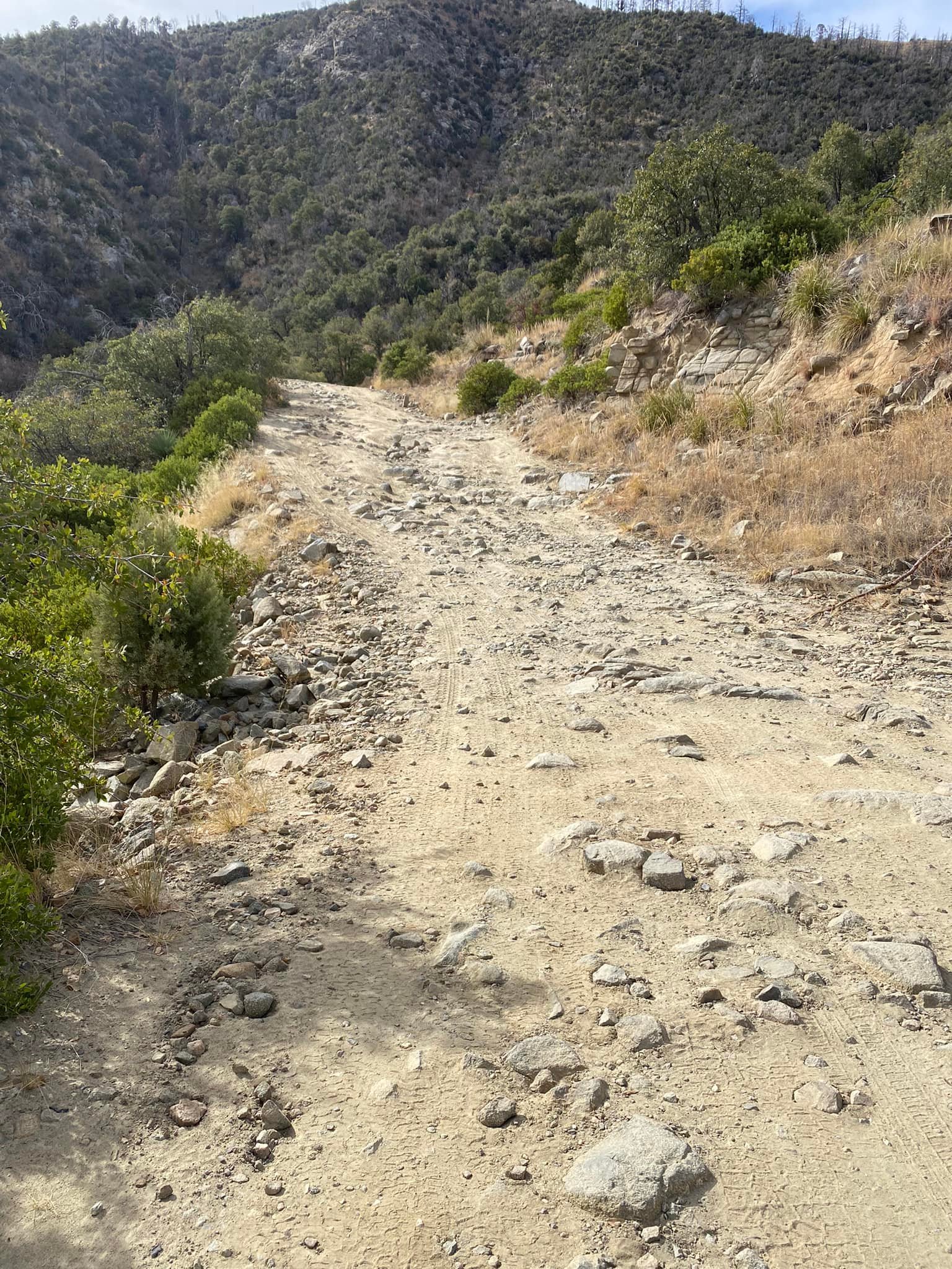 Rough Old Mt Lemmon Road near Oracle, AZ