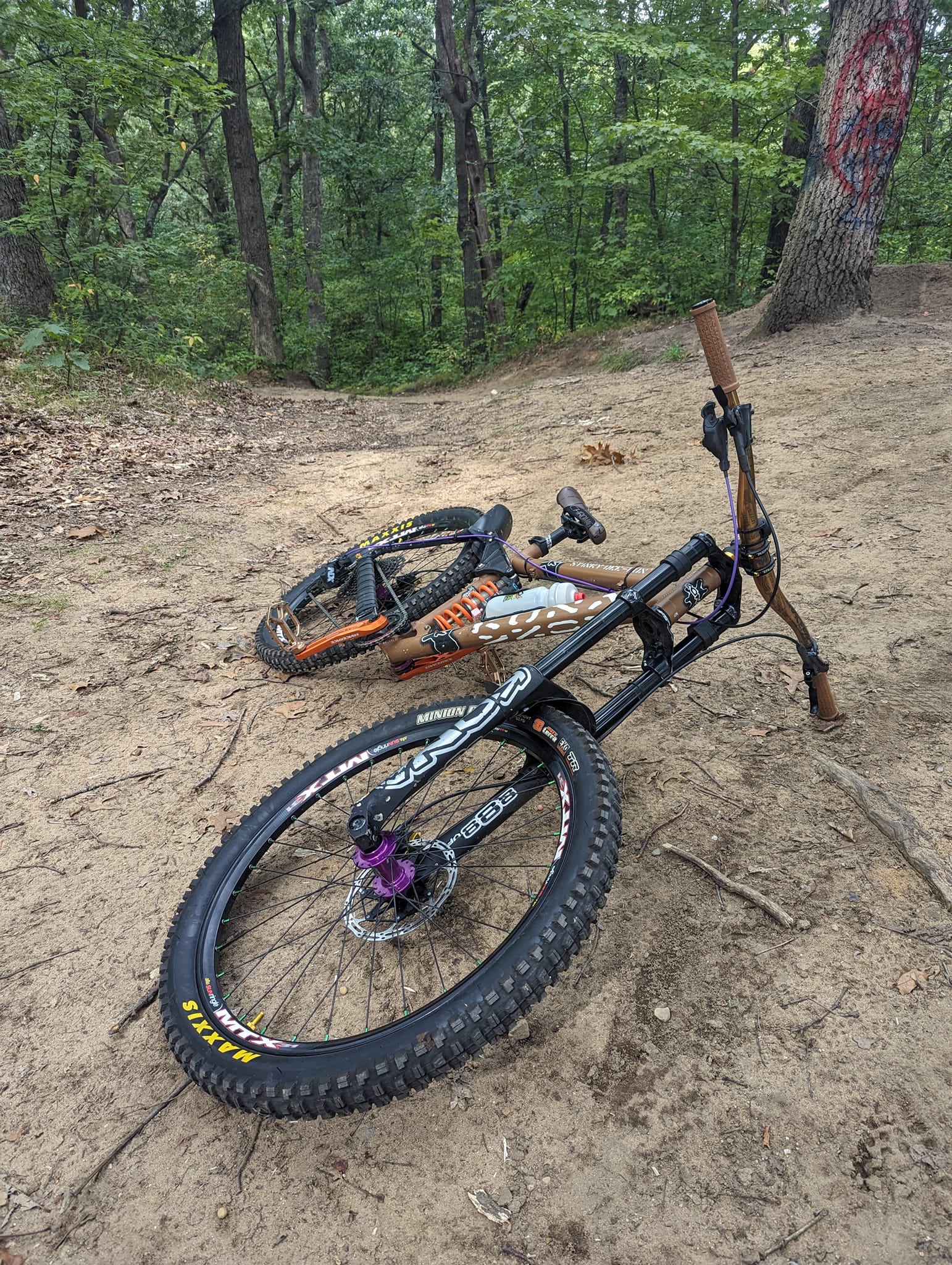 Is there interest in a 2005 Kona Stinky dee lux bike for sale?