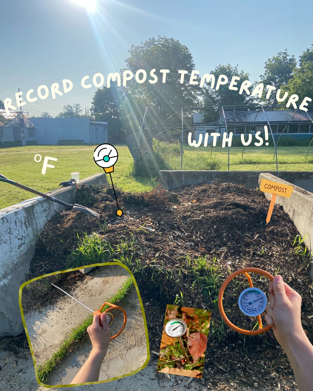 Community Roots - 🪱 Record compost temp with us! Tracking... | Facebook