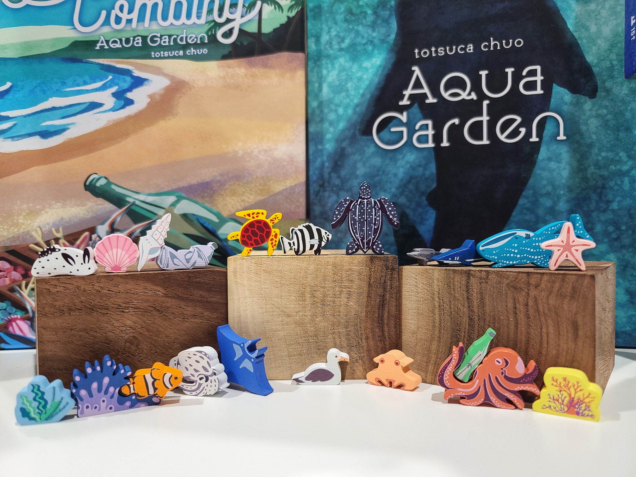 Aqua Garden board game review with beach combing expansion