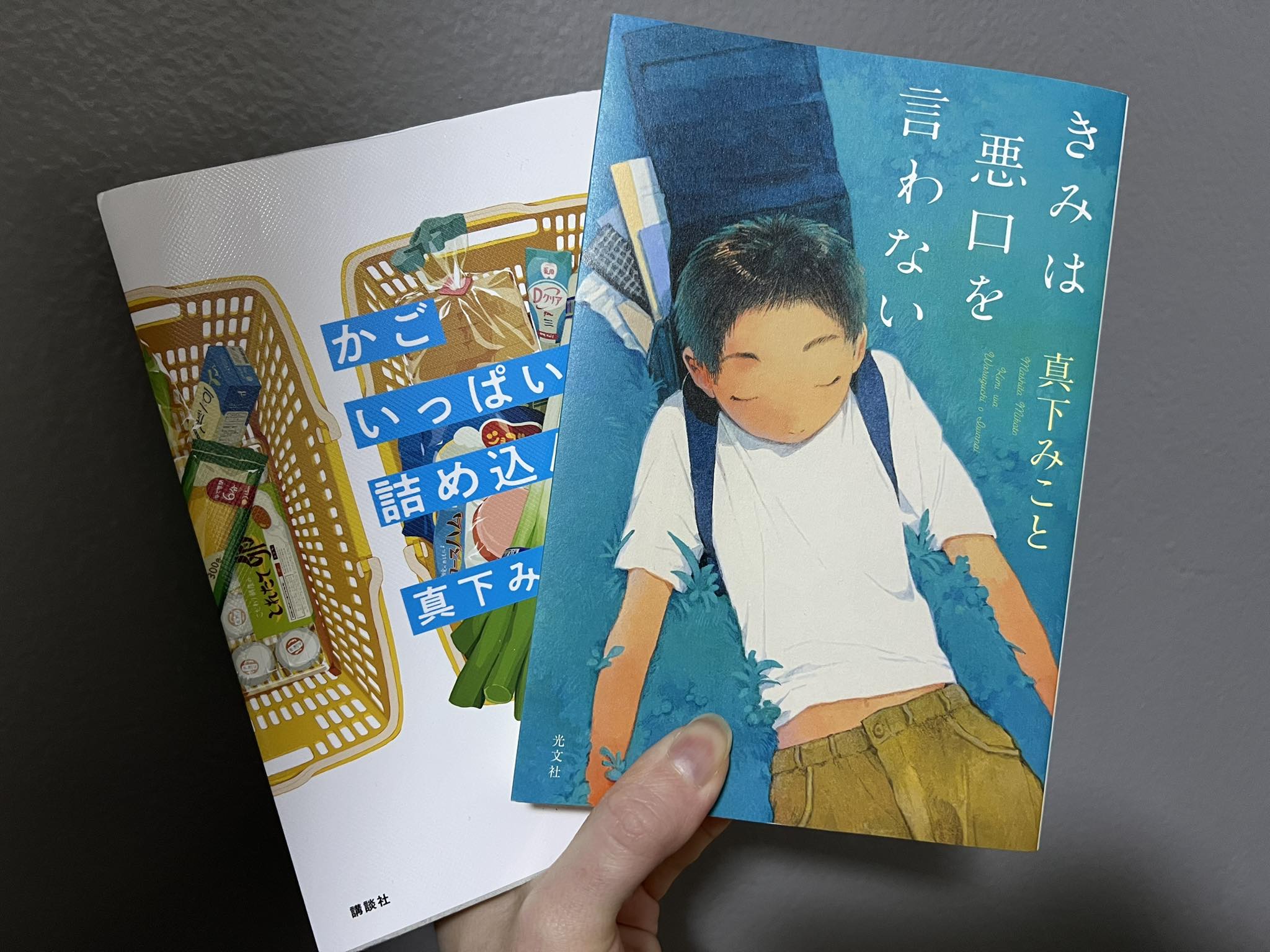Recent Japanese literature book reviews display picture 1