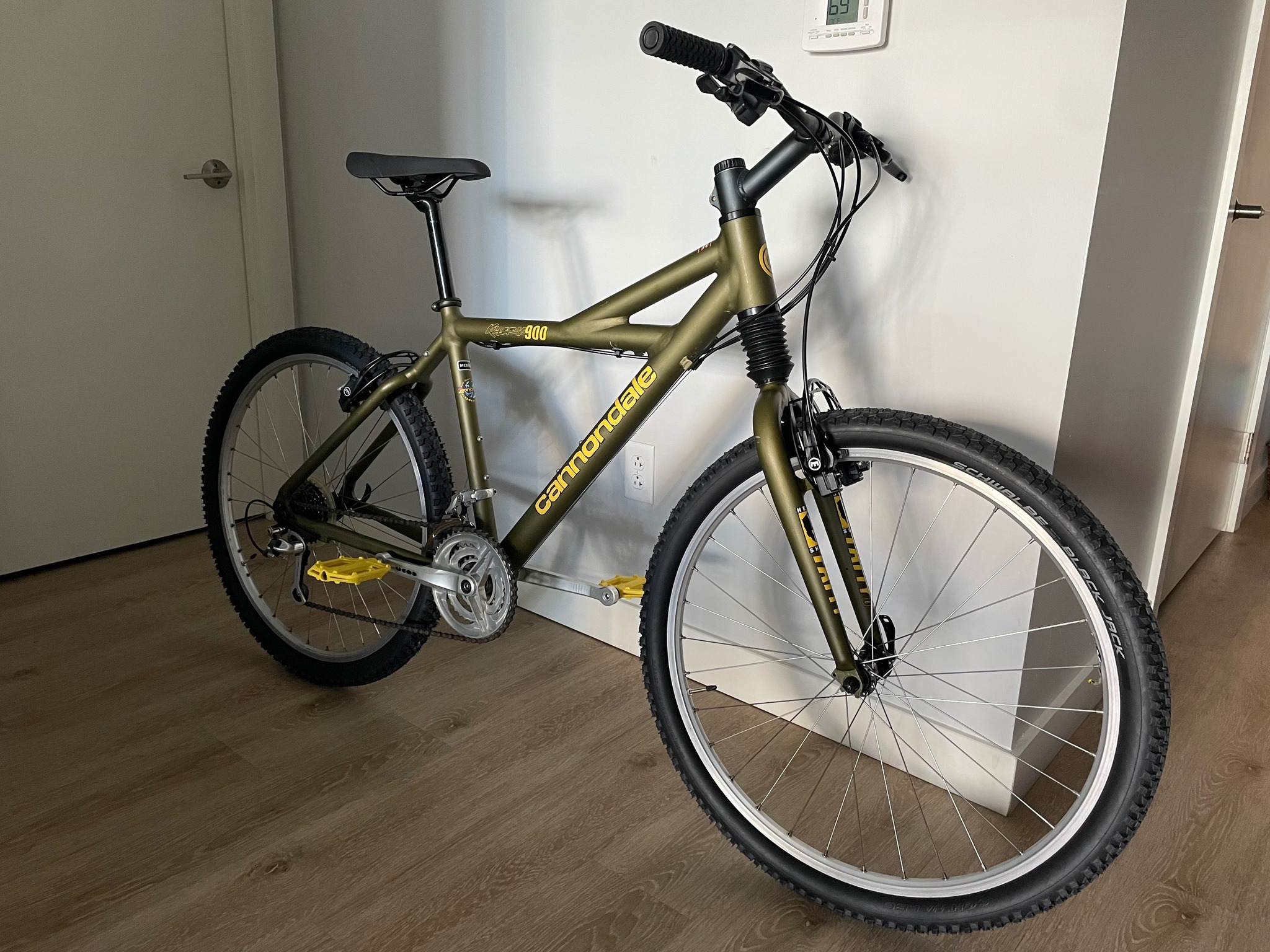 Cannondale Killer V 900 project update details
