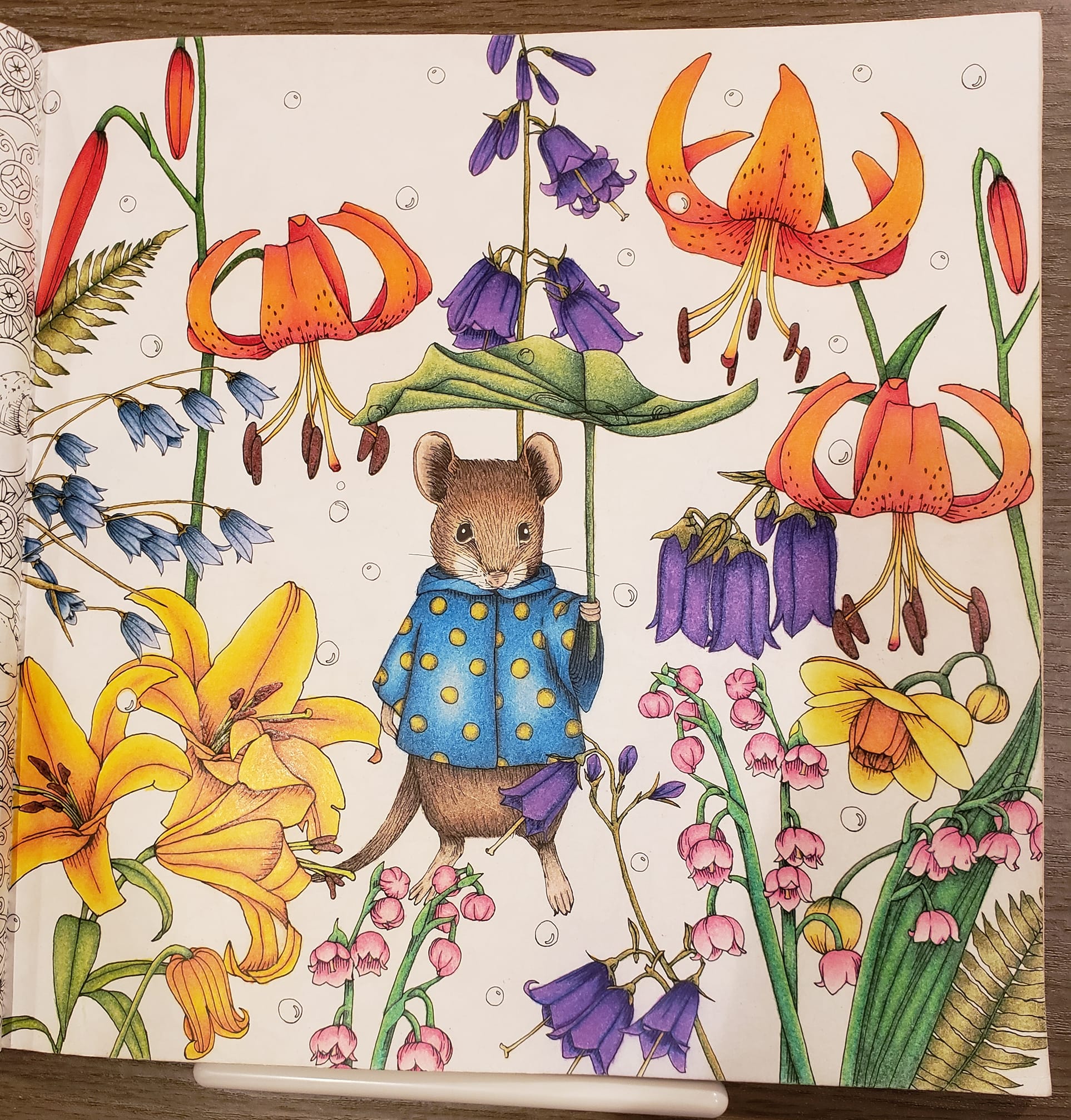 Coloring Book Page Completion of Rhapsody in the Forest
