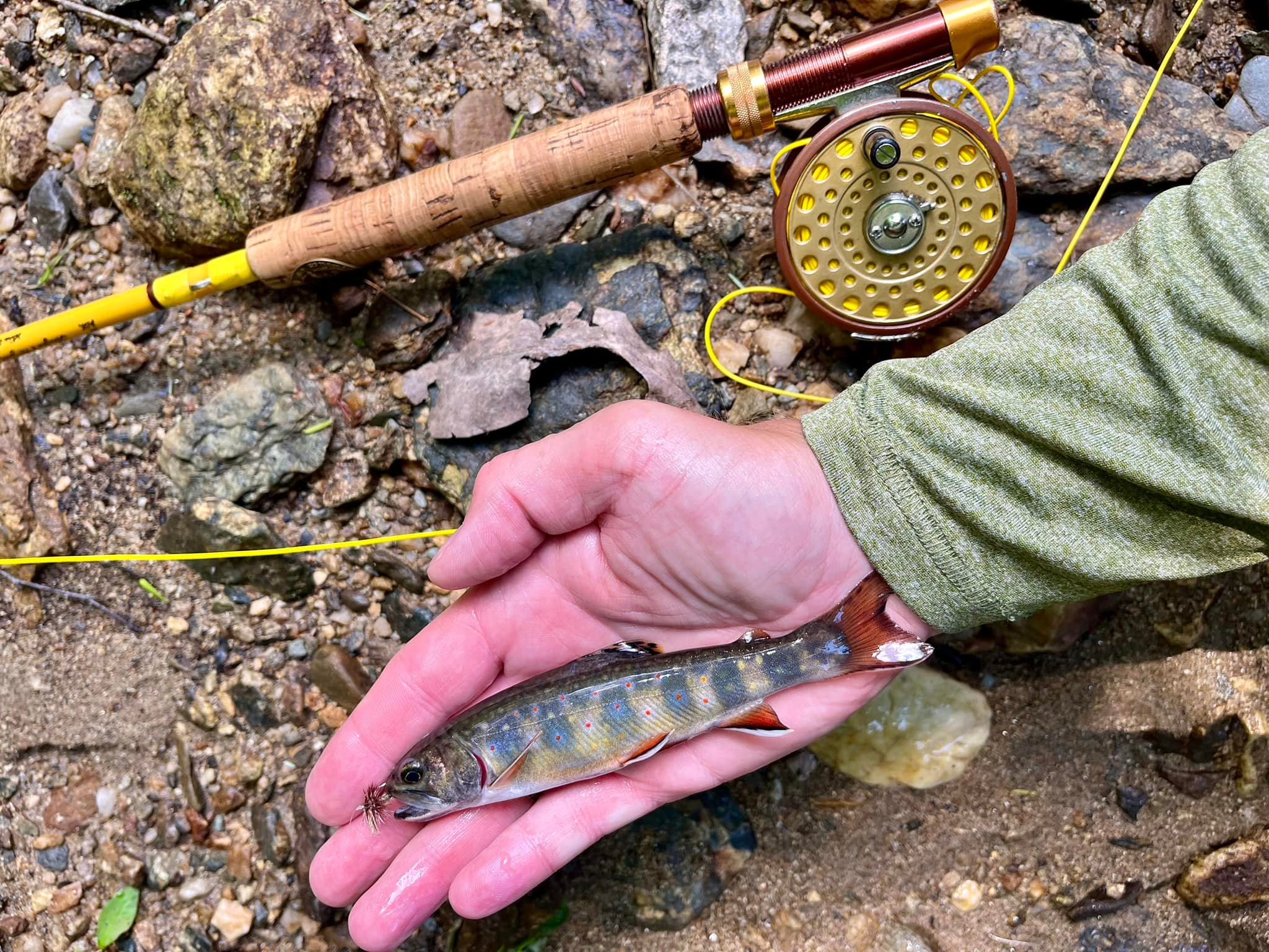 best reel matcg for the eagle featherlight fly rod Pro Combos up to bring a legend into the modern era of fishing Eagle Claw Featherlight Fly Fishing