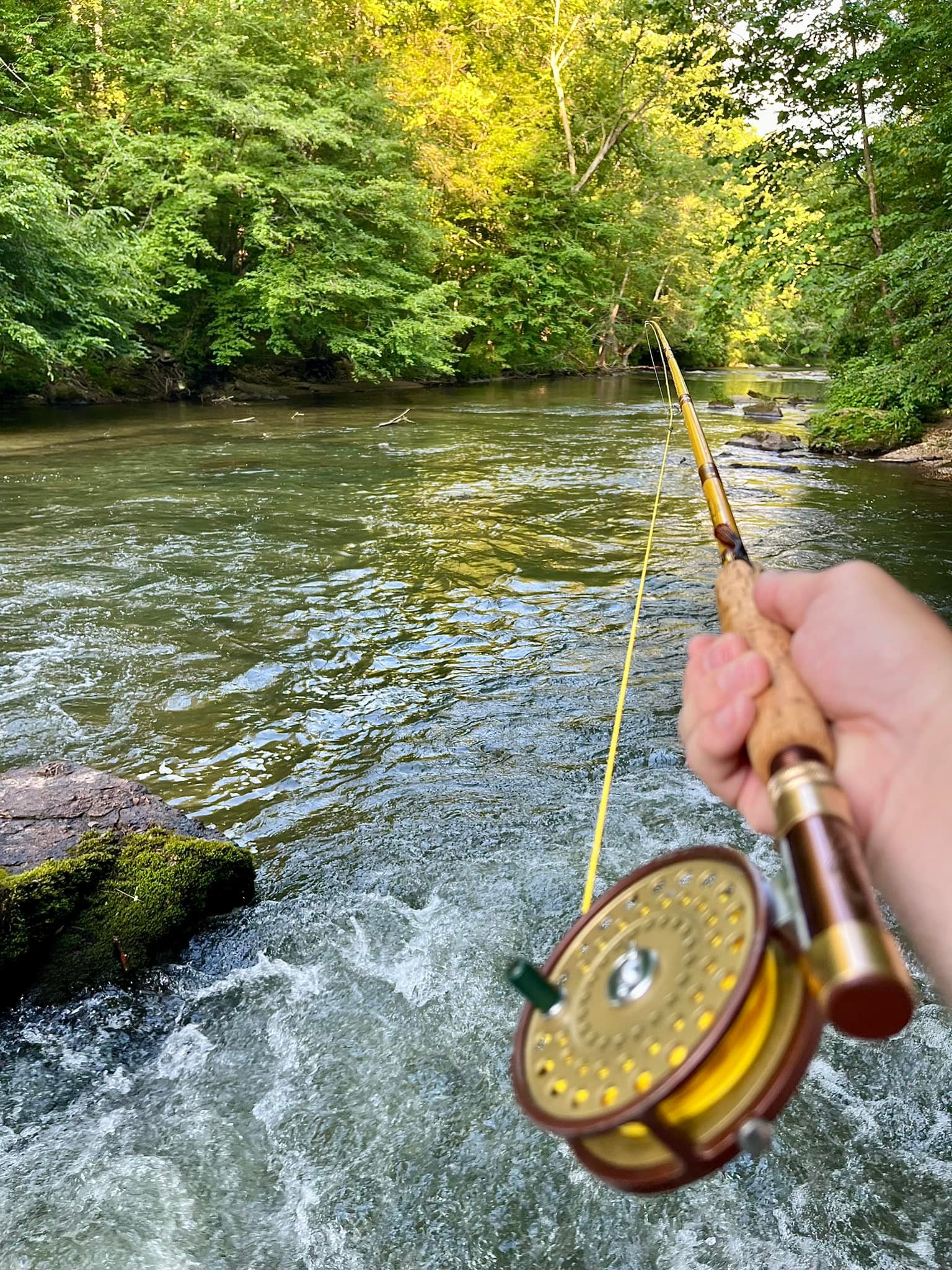 champion fly fish rod Echo 84-B 8'4