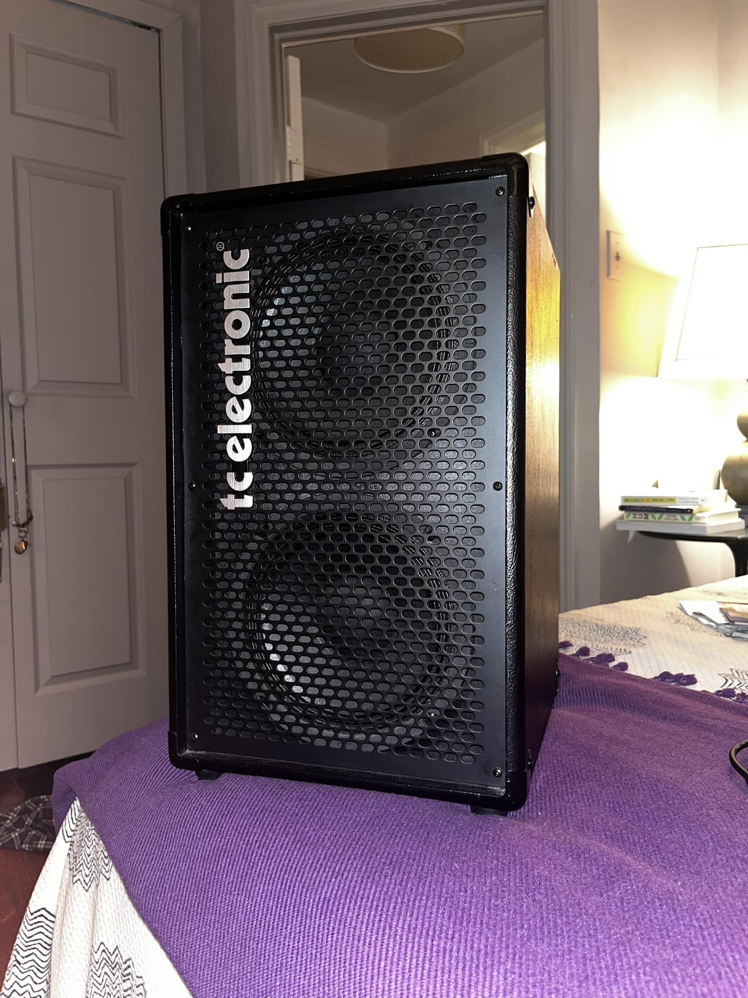 TC Electronic BG250-208 bass amp review