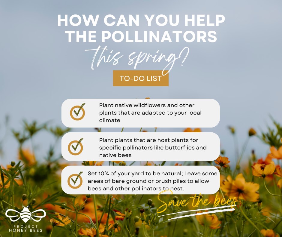 Project Honey Bees - I found this graphic template on Canva - a photo ...