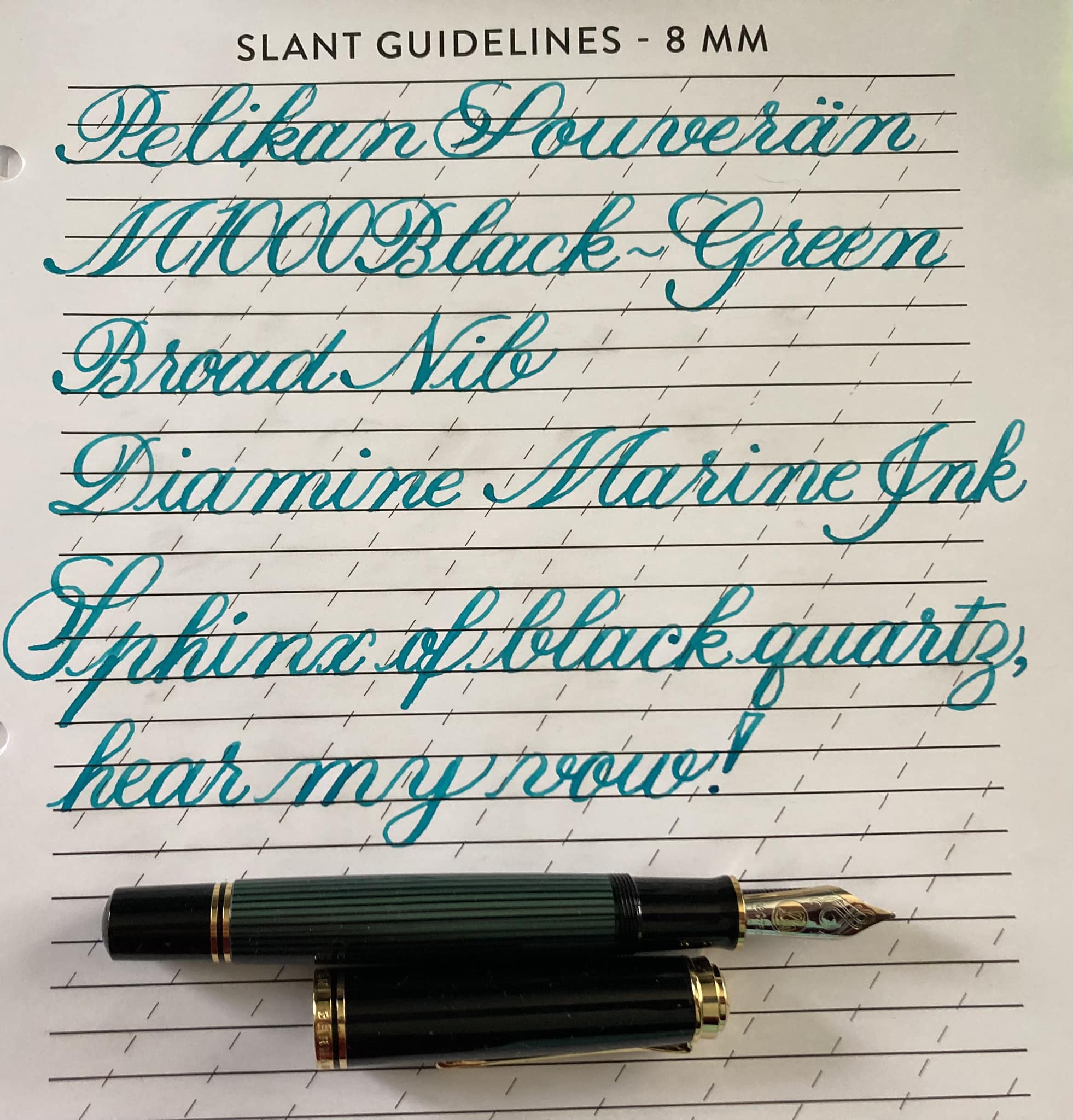 使用感あり】Pelikan M1000 F