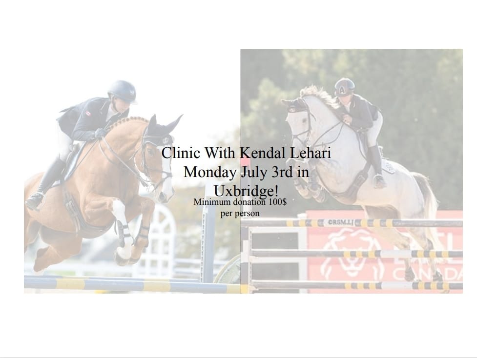 Justin Ridgewell Dressage | Collingwood ON