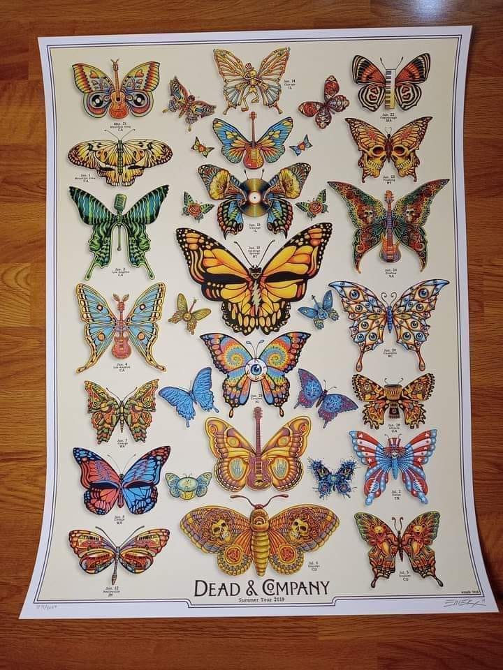 Dead and Co Summer 19 poster, excellent condition! 70 +10 ships ❤️
