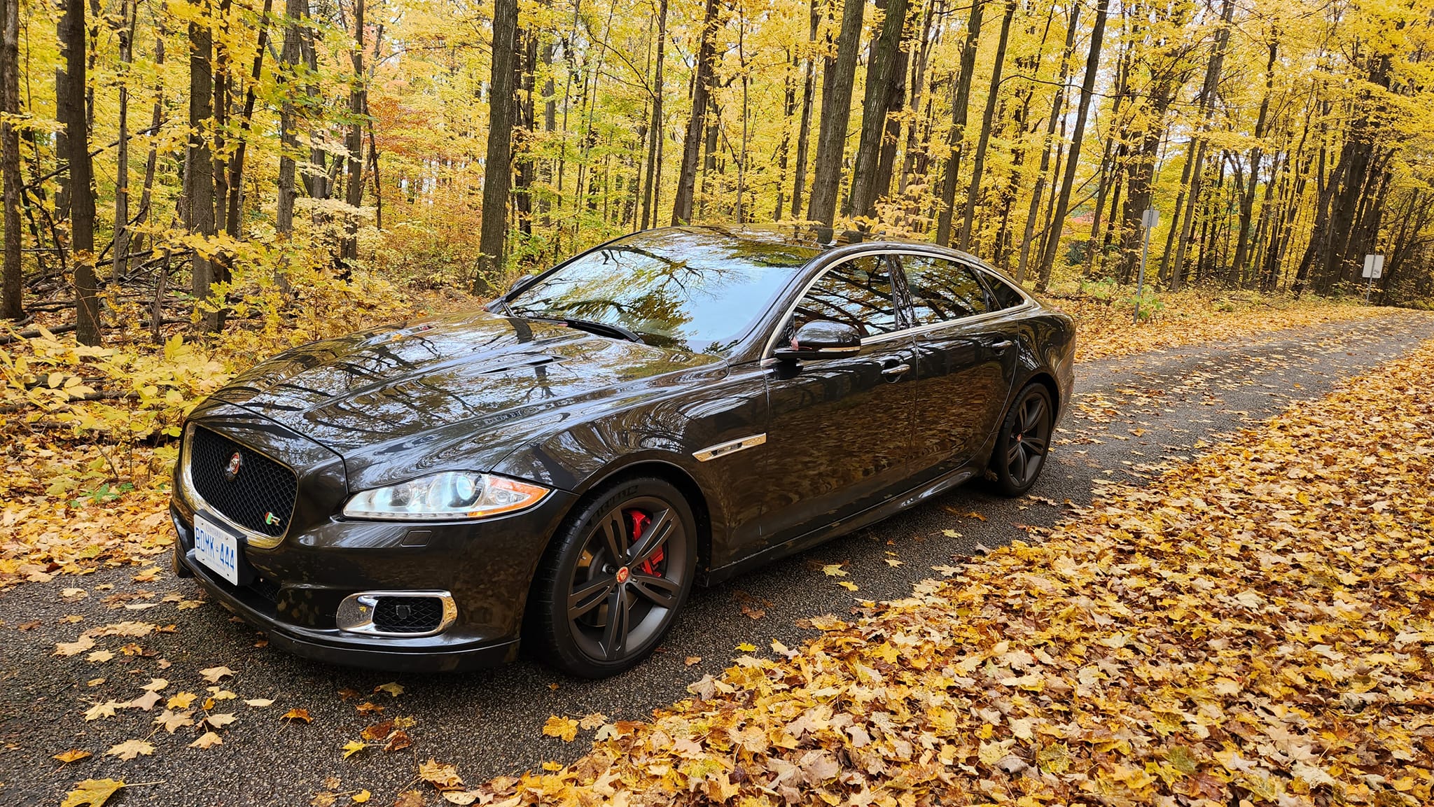 1984 Jaguar models in Canada