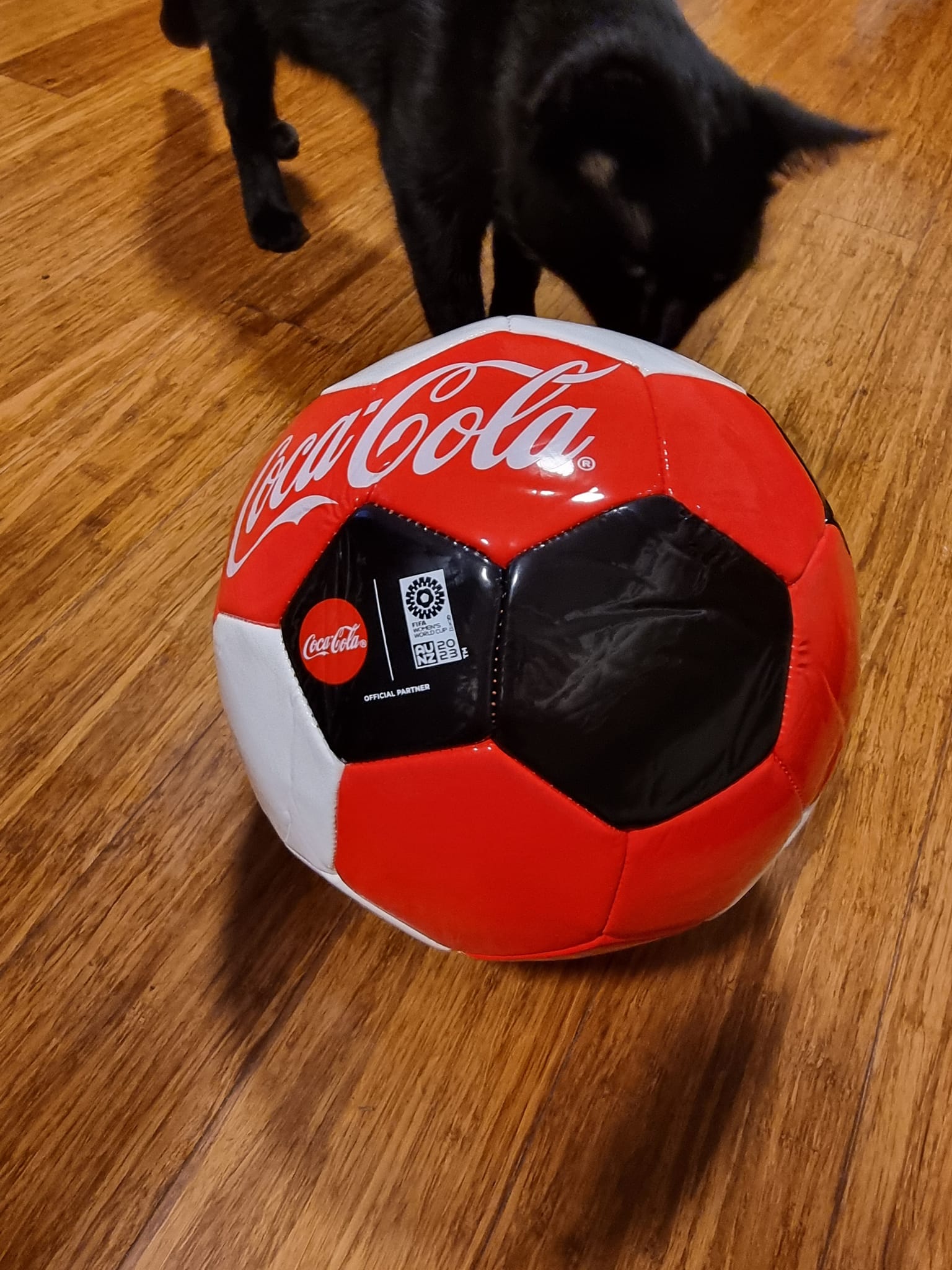 Coca-cola fifa promotional duffel bag gift