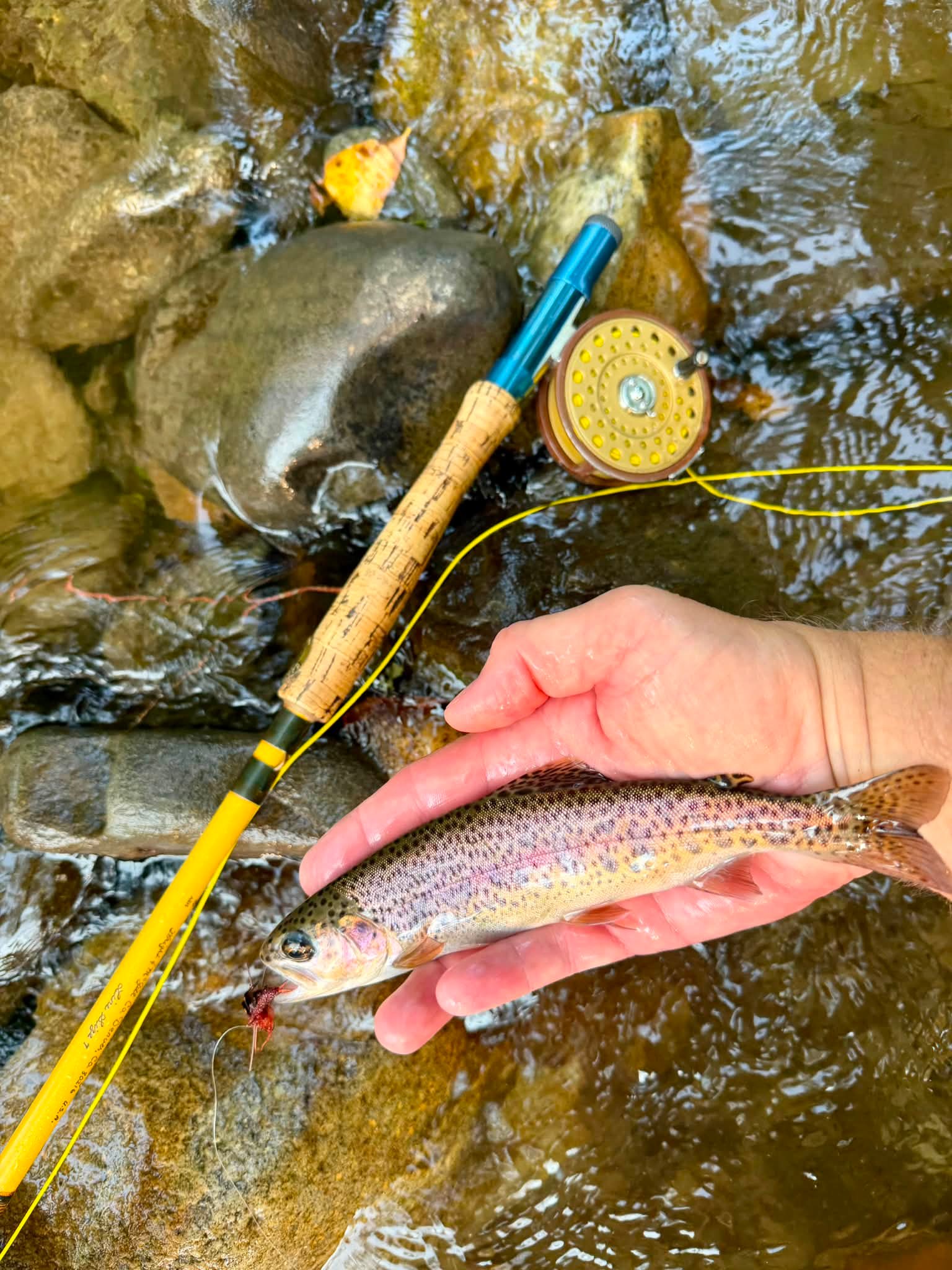 ebay stores selling fly rods and reels only Rod Package Old School Fiberglass Fly Rods