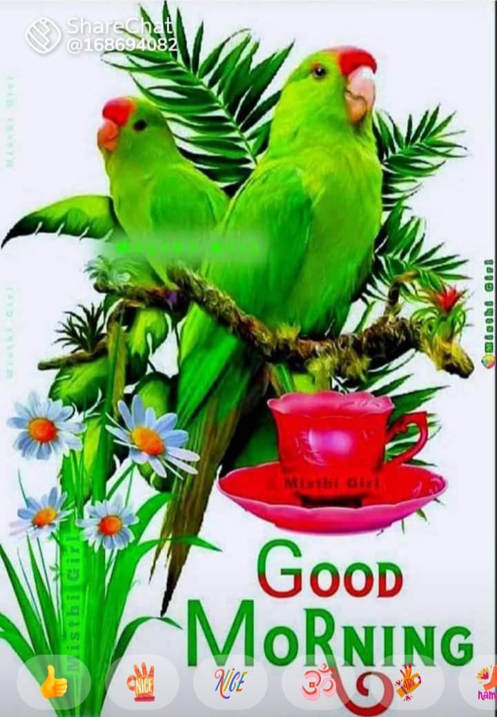 Raj Angel