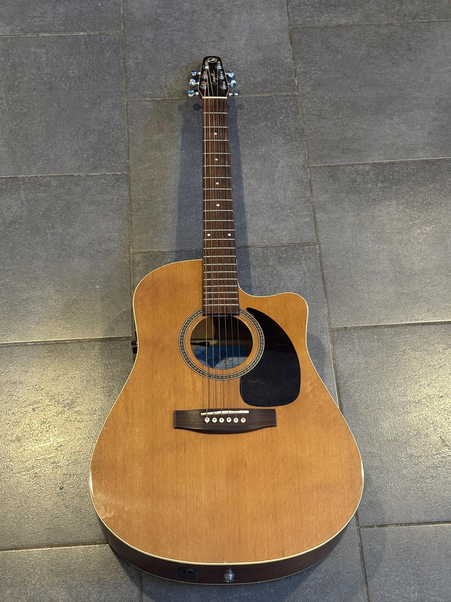 Used Seagull Performer CW cedar guitar for sale