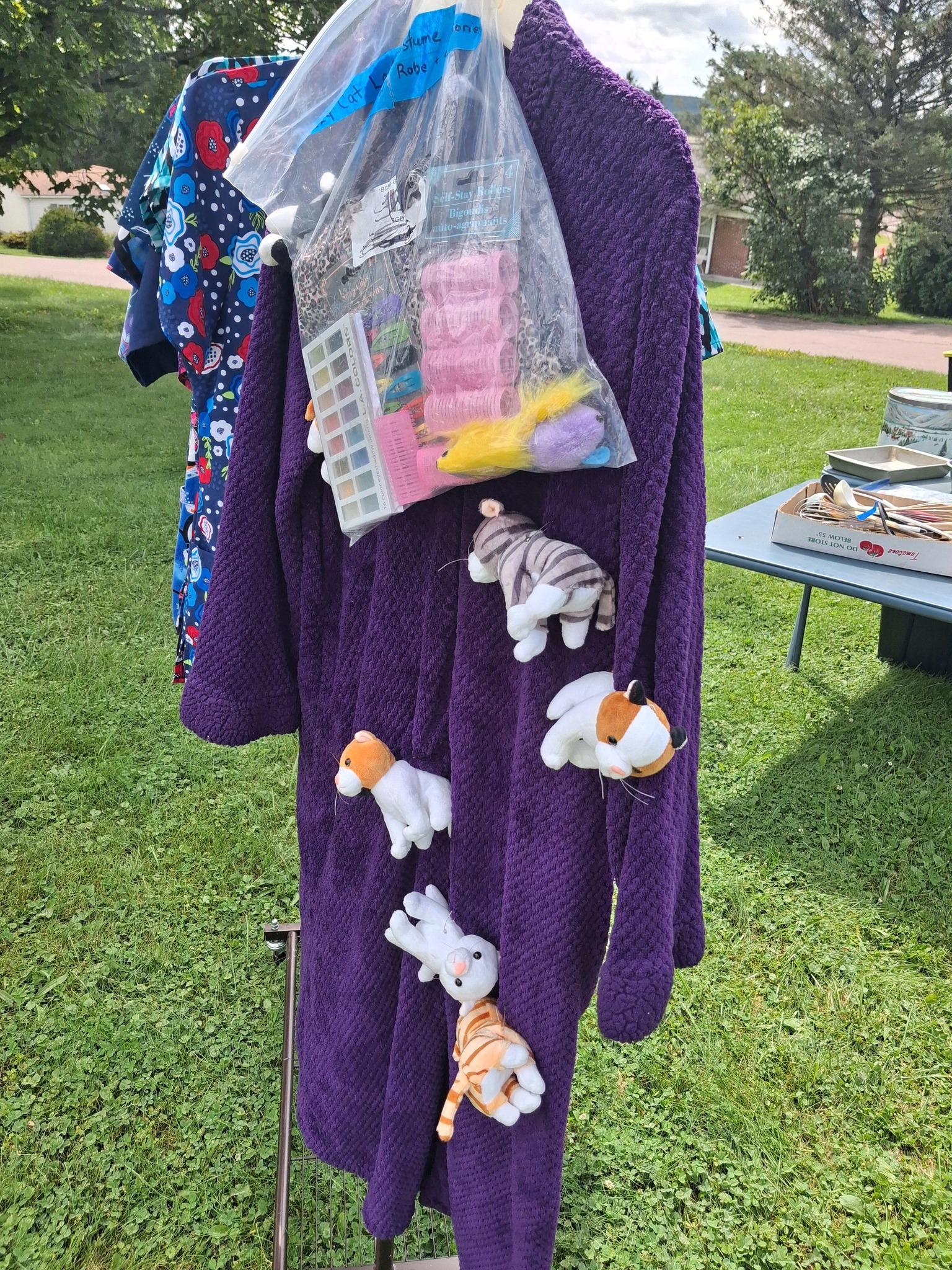 crazy cat lady dress up costume for sale: robe, leggings, and accessories in Grantsville or McHenry area LowStock:44099361964083