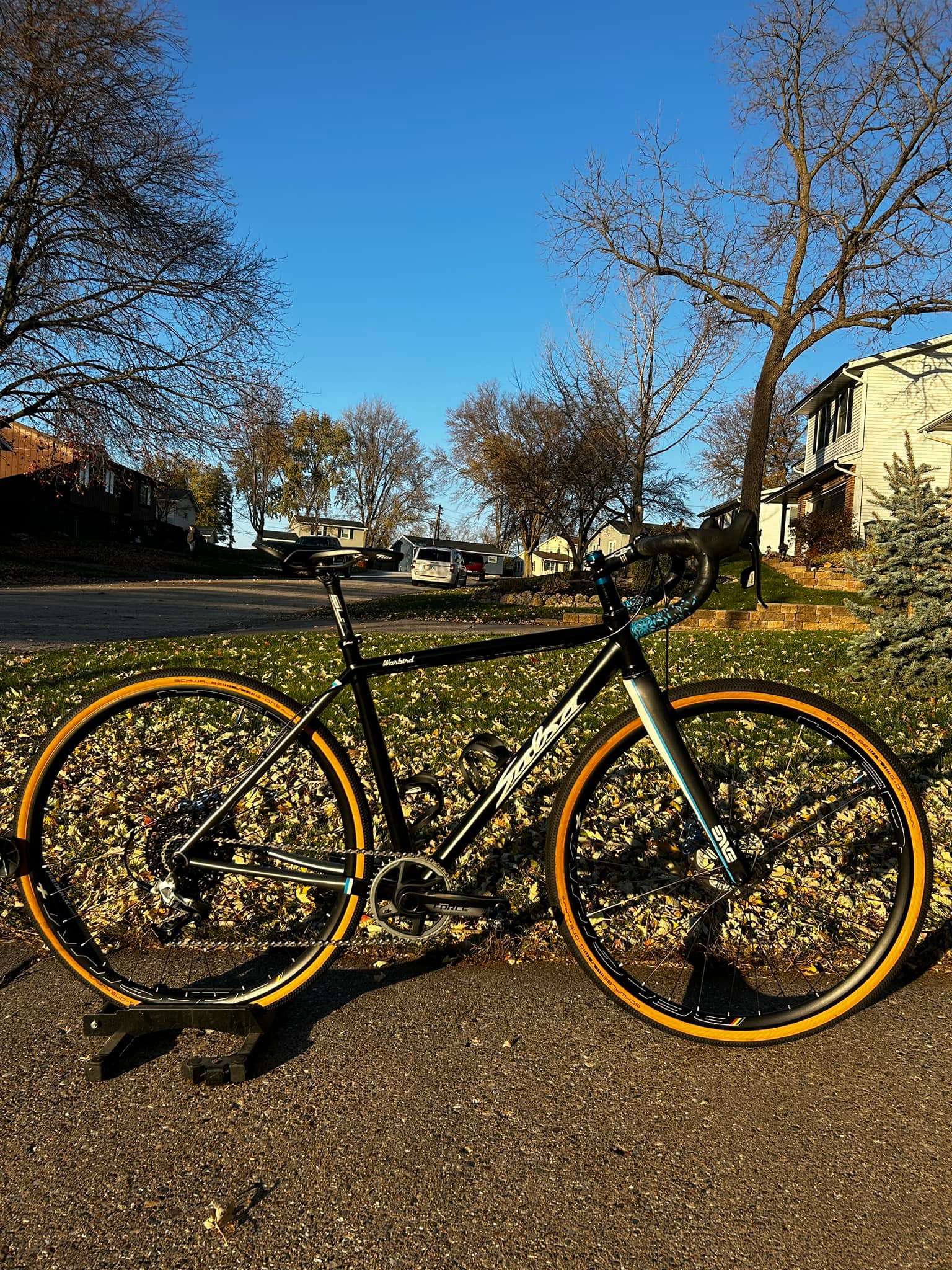 2005 Riese & Müller BD-1 BIRDY TITANIUM Ti bike discussion