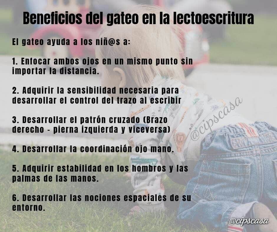 Cipscasa Intervención Psicoeducativa - El gateo y la lectoescritura Una ...